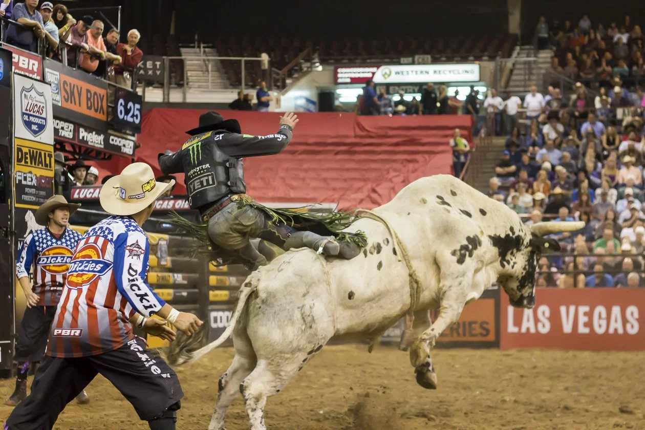 pbr-65.JPG