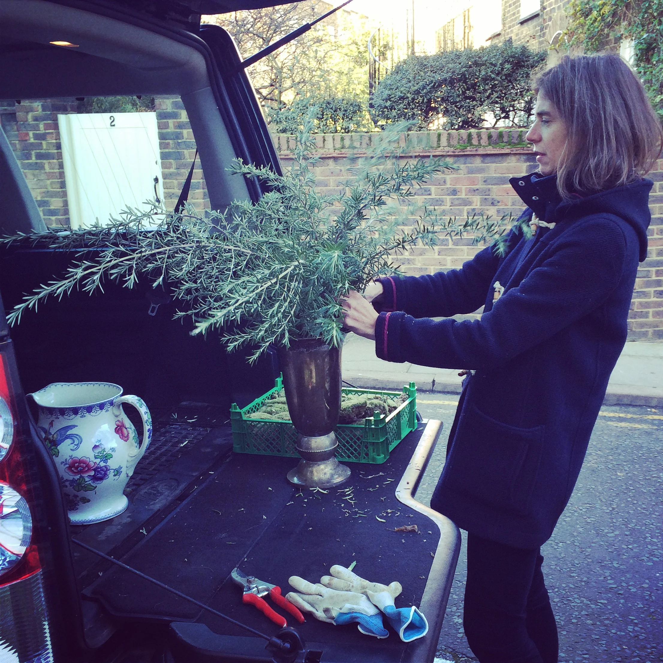  Henrietta arranging boughs of Rosemary at the back of Soane on an early Monday am.  Rosemary – heavenly scent in the depths of winter if temperatures do not plumet below -8 and if their feet are not too wet (plant in sandy well drained soil). 