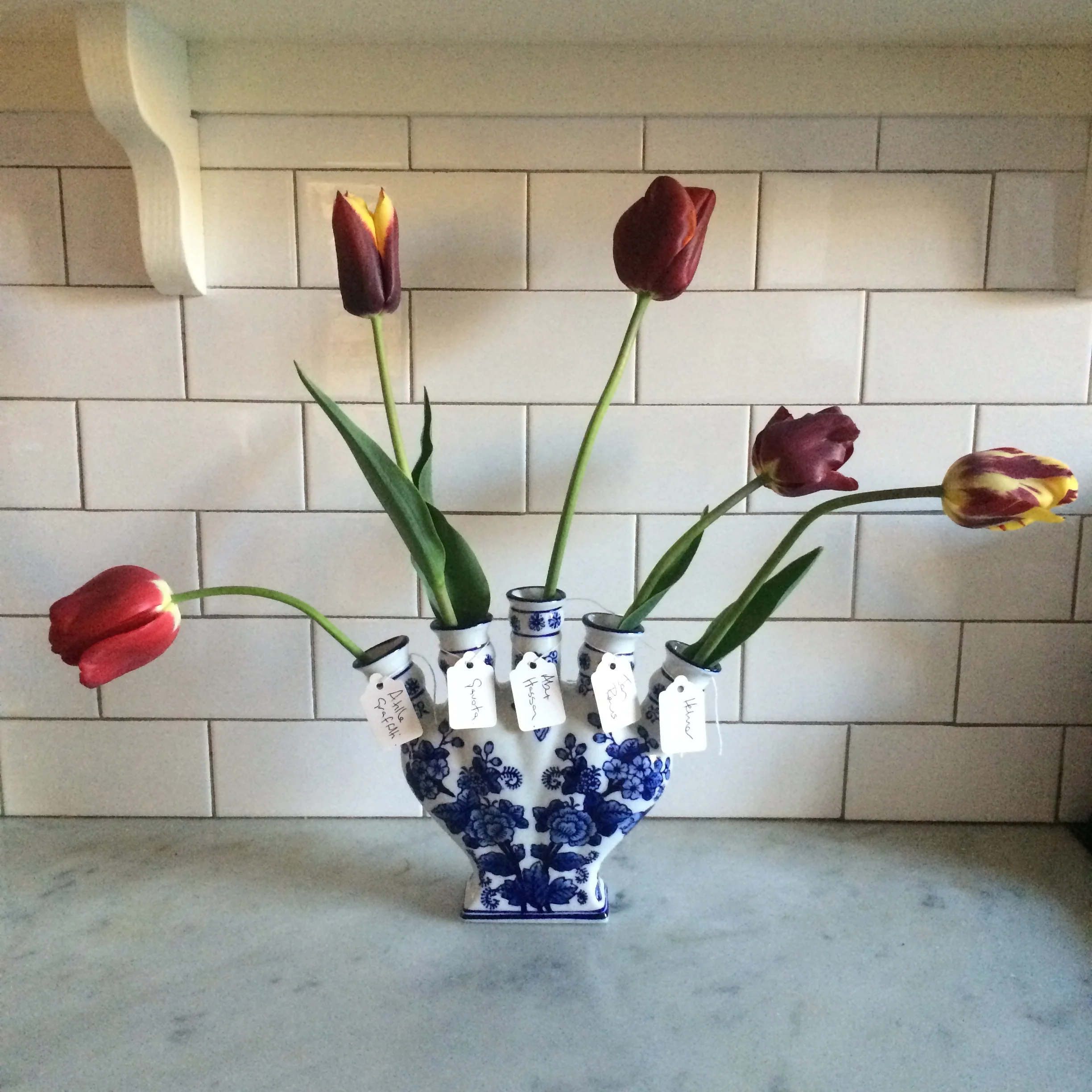 We loved our reds. The dazzling red of crimson tulipa Attila Graffiti, Gavota- deep red petals, edged with a broad yellow band - and the exotic Abu Hassan whose petals appear to have been dipped in gold. Jan Reus is one of our favourites – so good with so many other tulips, especially yellow and red striped Helmar – shown here on the right….