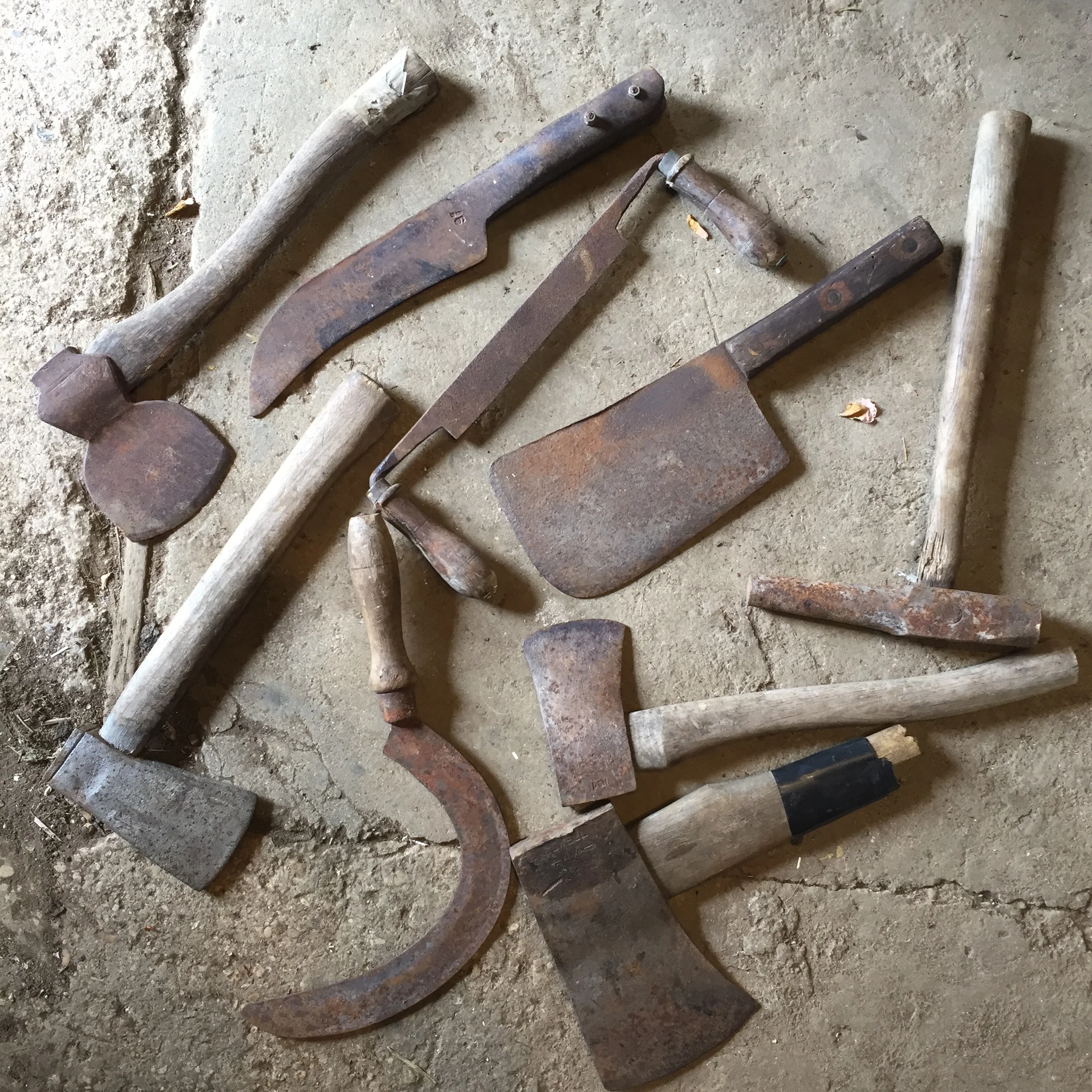  These are some old tools sadly in need of love that we found in the potting shed.&nbsp;The important thing with all tools is to look after them, cleaning and sharpening them at least once a year. 