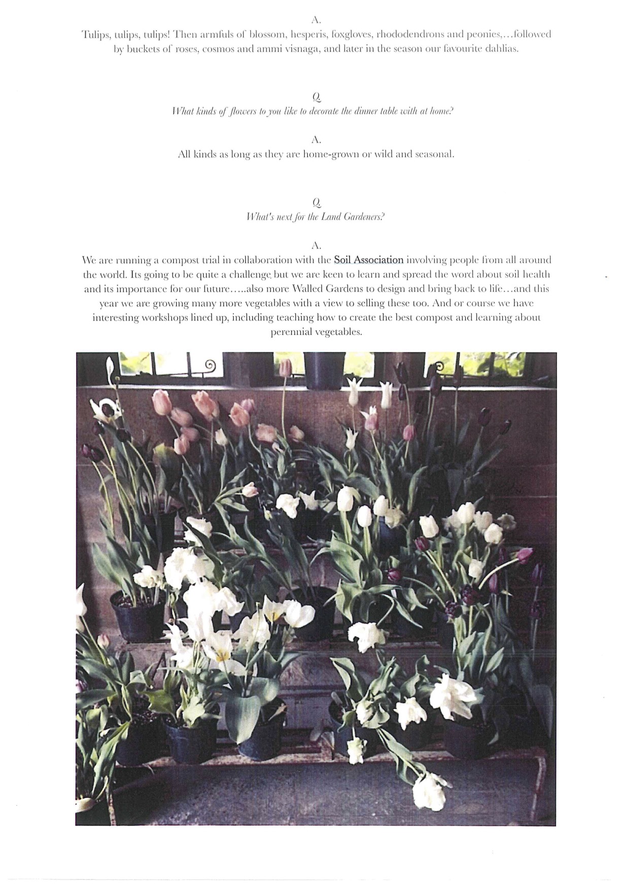 page 6 meanderings.jpg