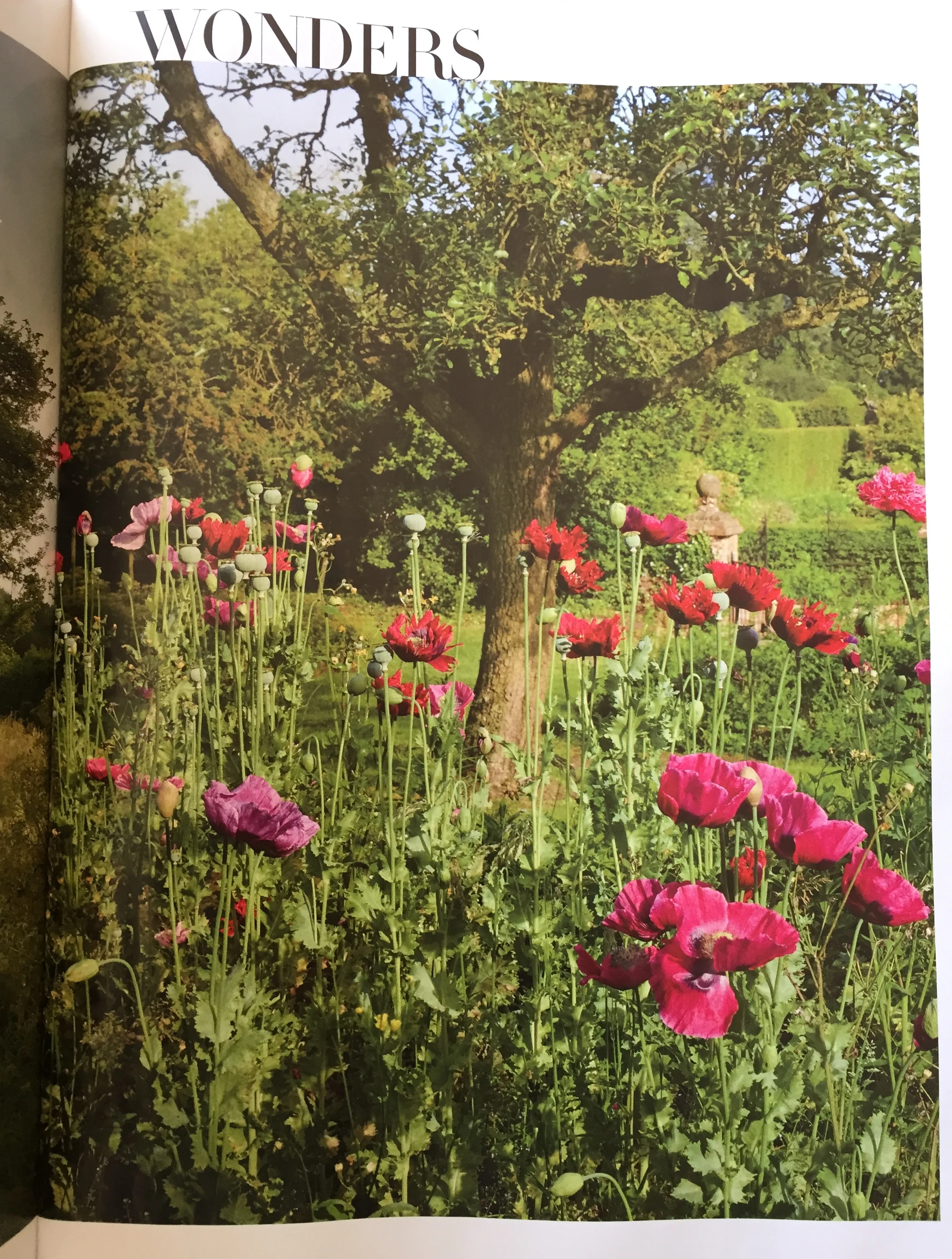 Vogue pg2.jpg