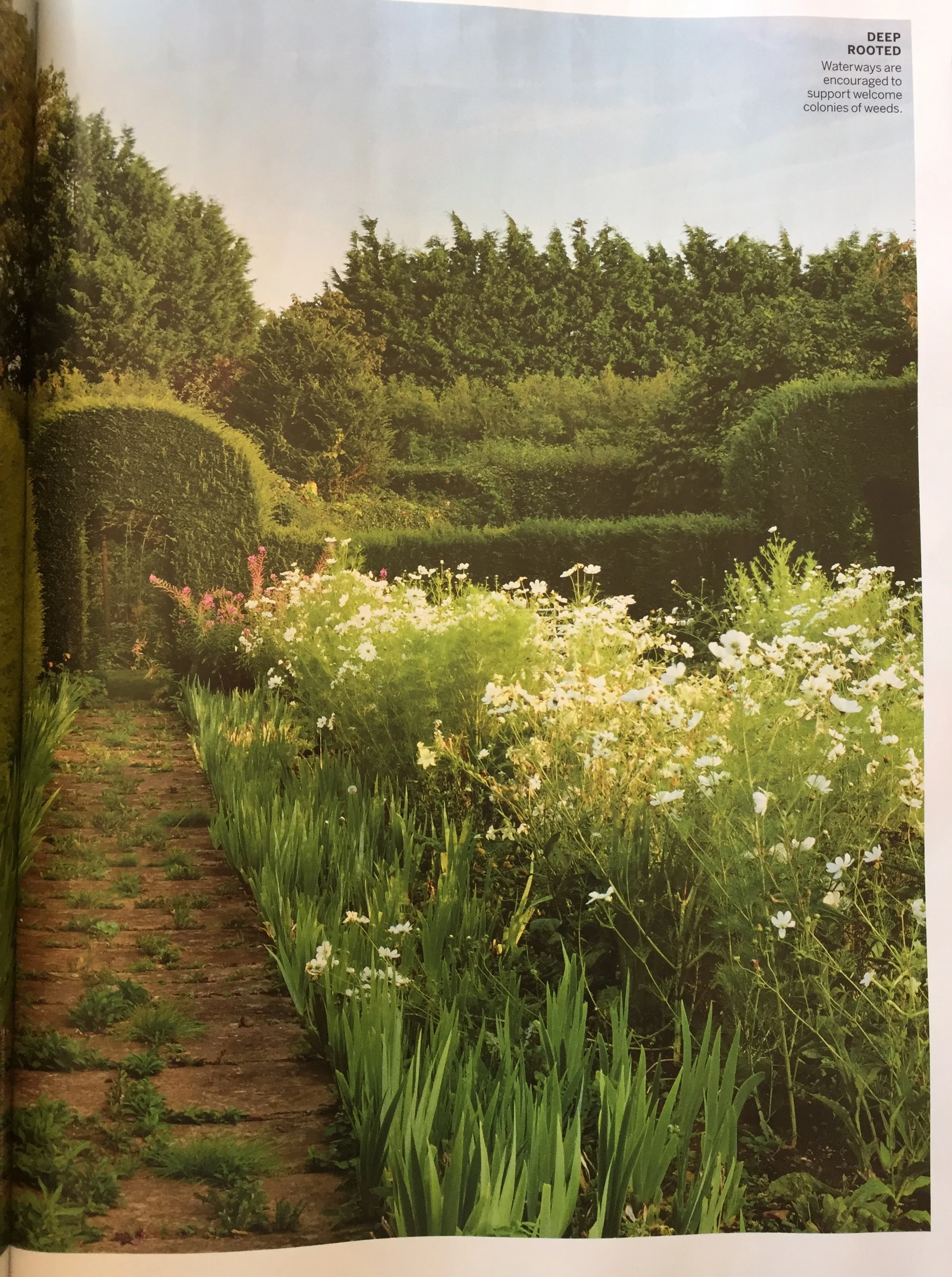 Vogue pg6.jpg