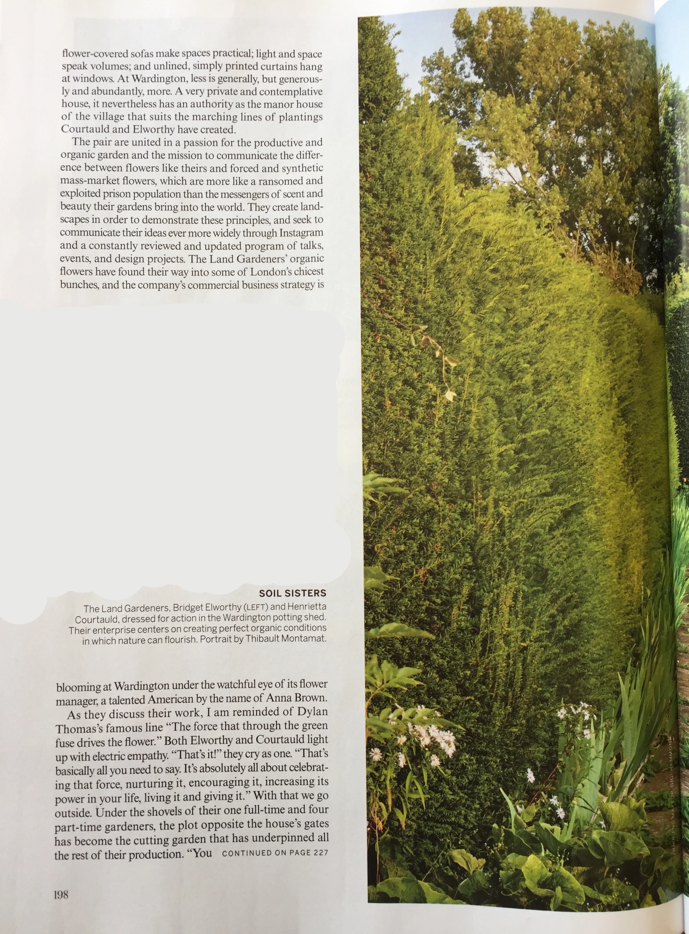 Vogue pg5.jpg
