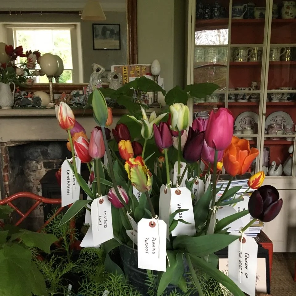 Grow Your own Cut Flowers workshop with Charlie McCormick - April, 2017