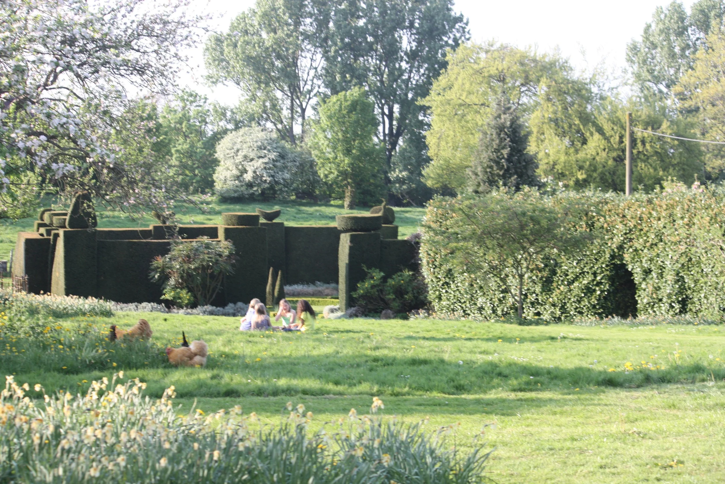 IMG_6214.jpg