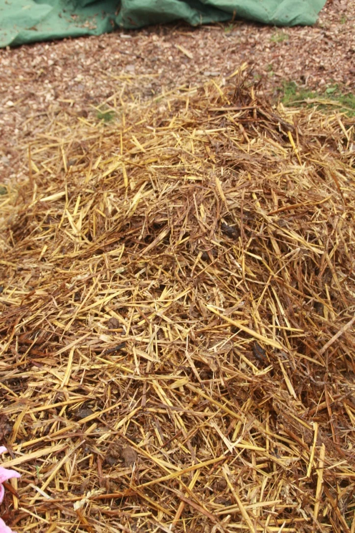 A. Layer of Straw
