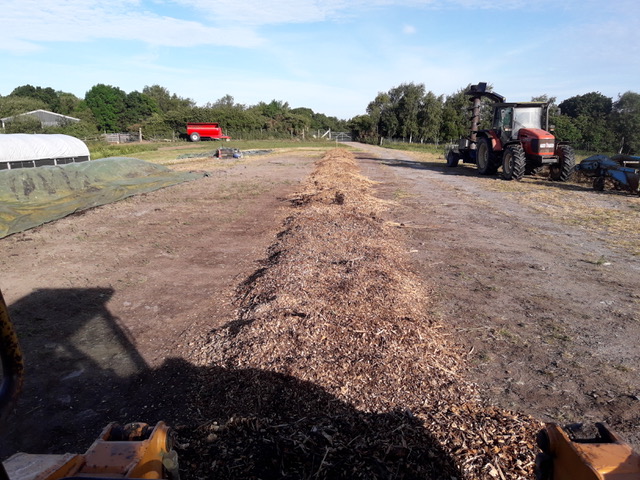 First layer of young wood chip