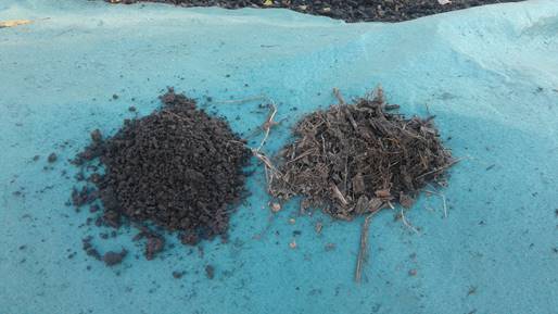 Compost - Turned and Static