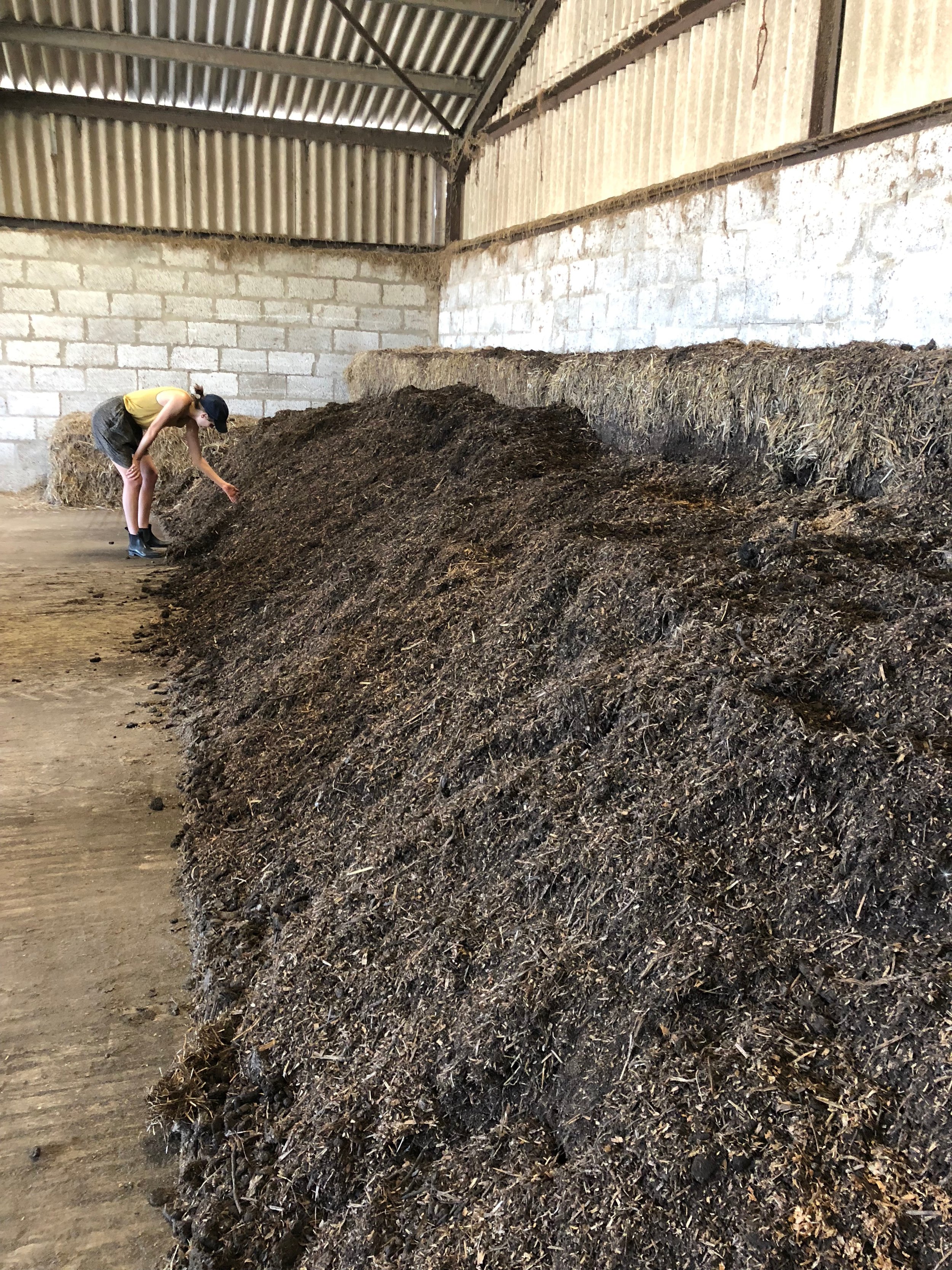 Row of turned compost with hay bales lining walls