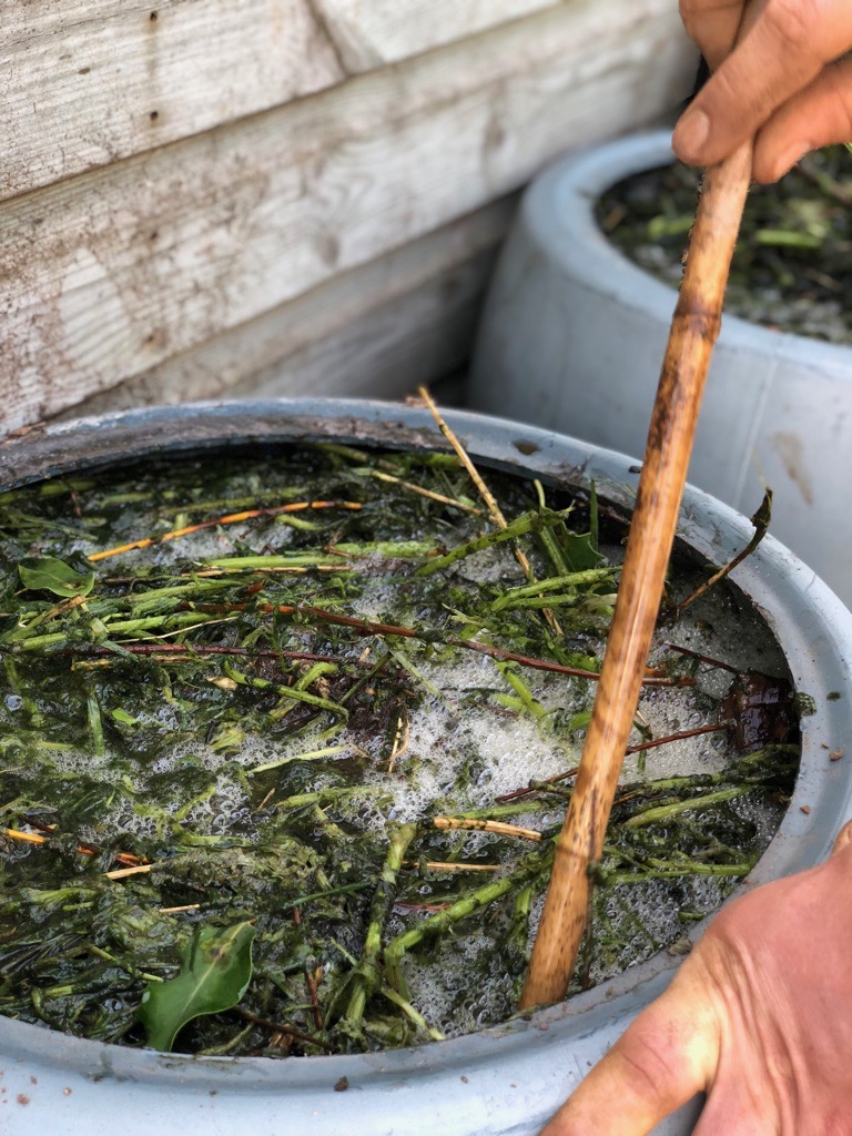 Nettle and Comfrey Tea