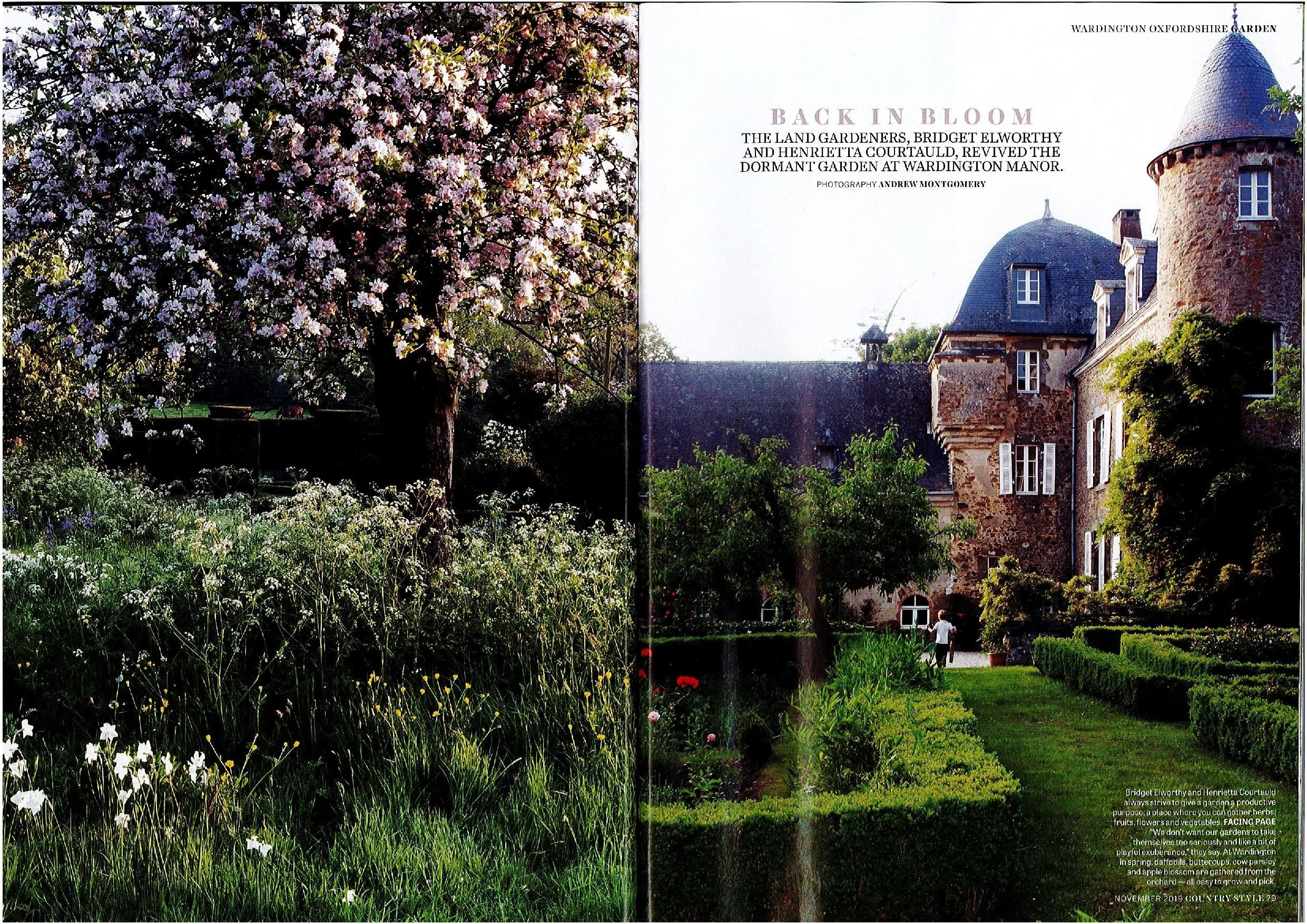 The Land Gardeners Country Style November 2019-page-001.jpg