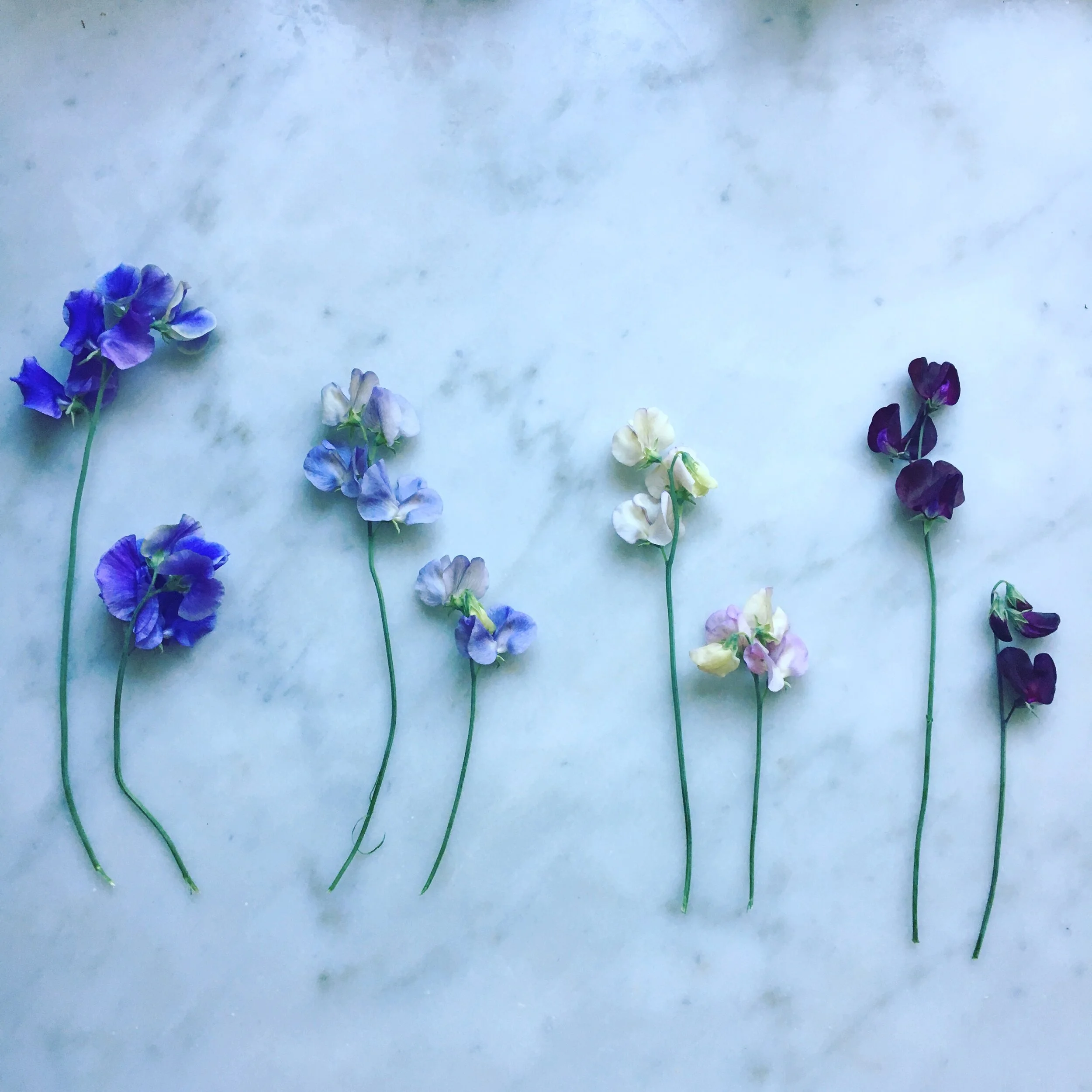 INNOVATIVE FARMERS TRIALS, 2015