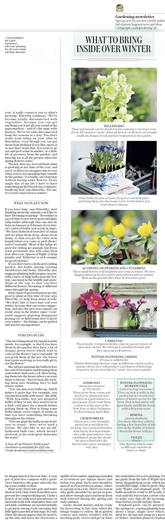 Telegraph Nov 19 2022 - pg2.jpeg