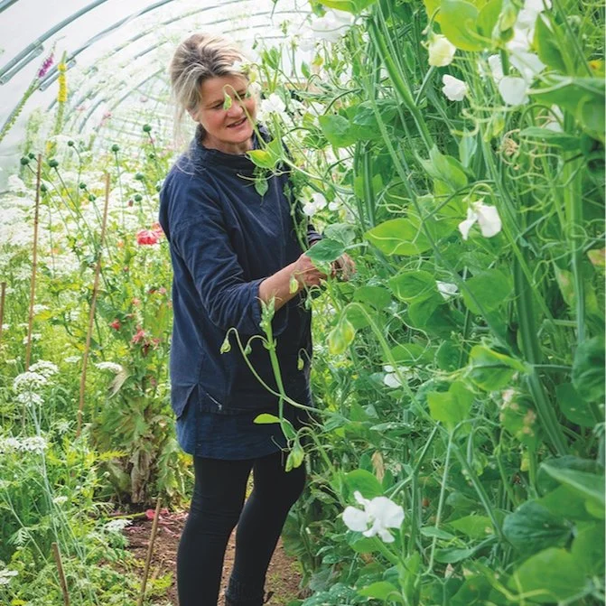 Climate Compost in Our Garden