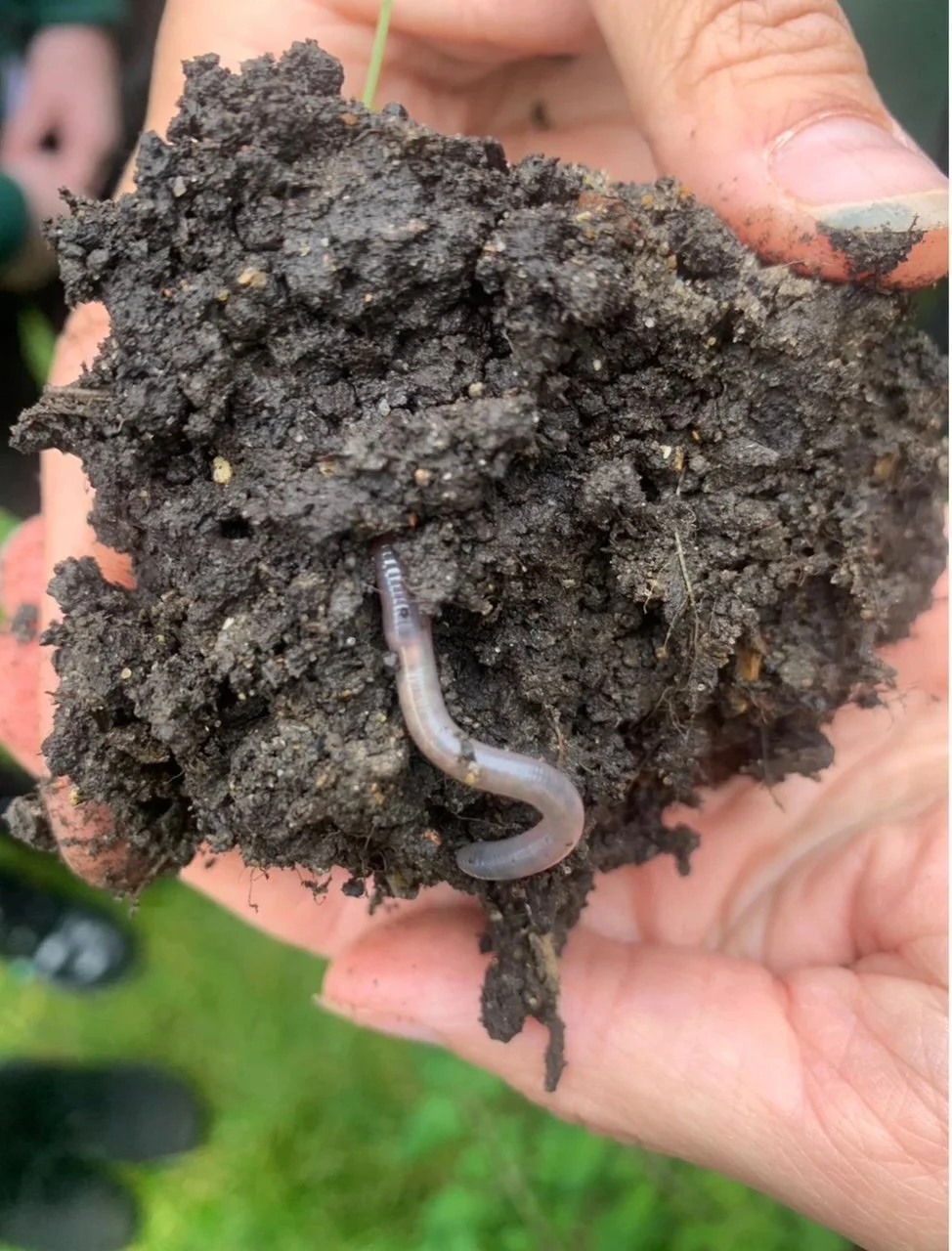 SCHOOLS SOIL PROJECT - Coming Soon