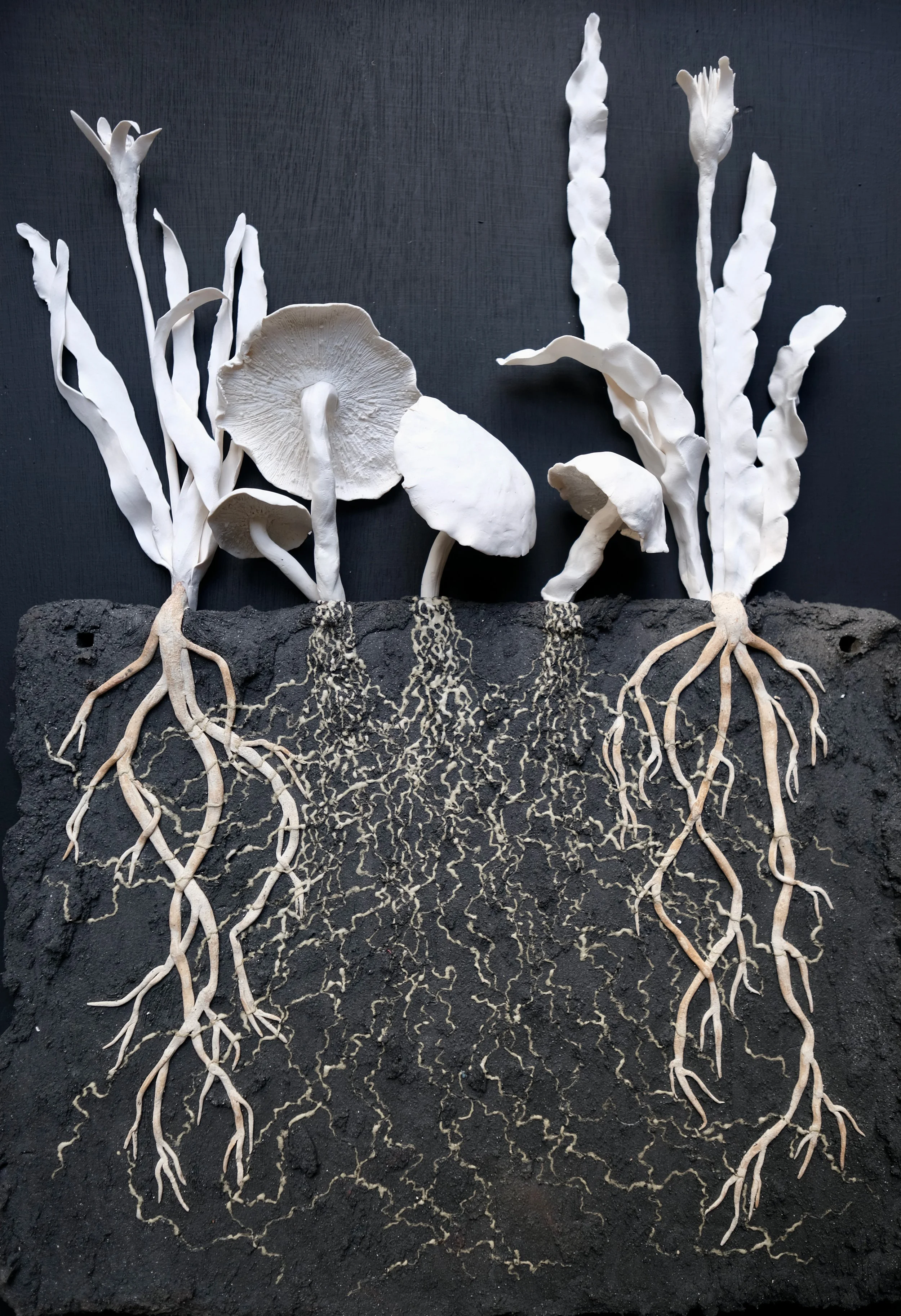SOIL EXHIBITION