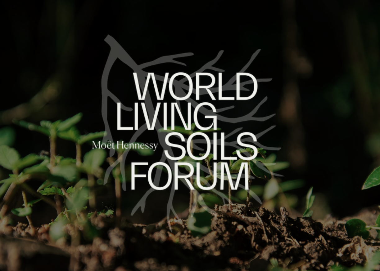 Insights from the World Living Soils Forum