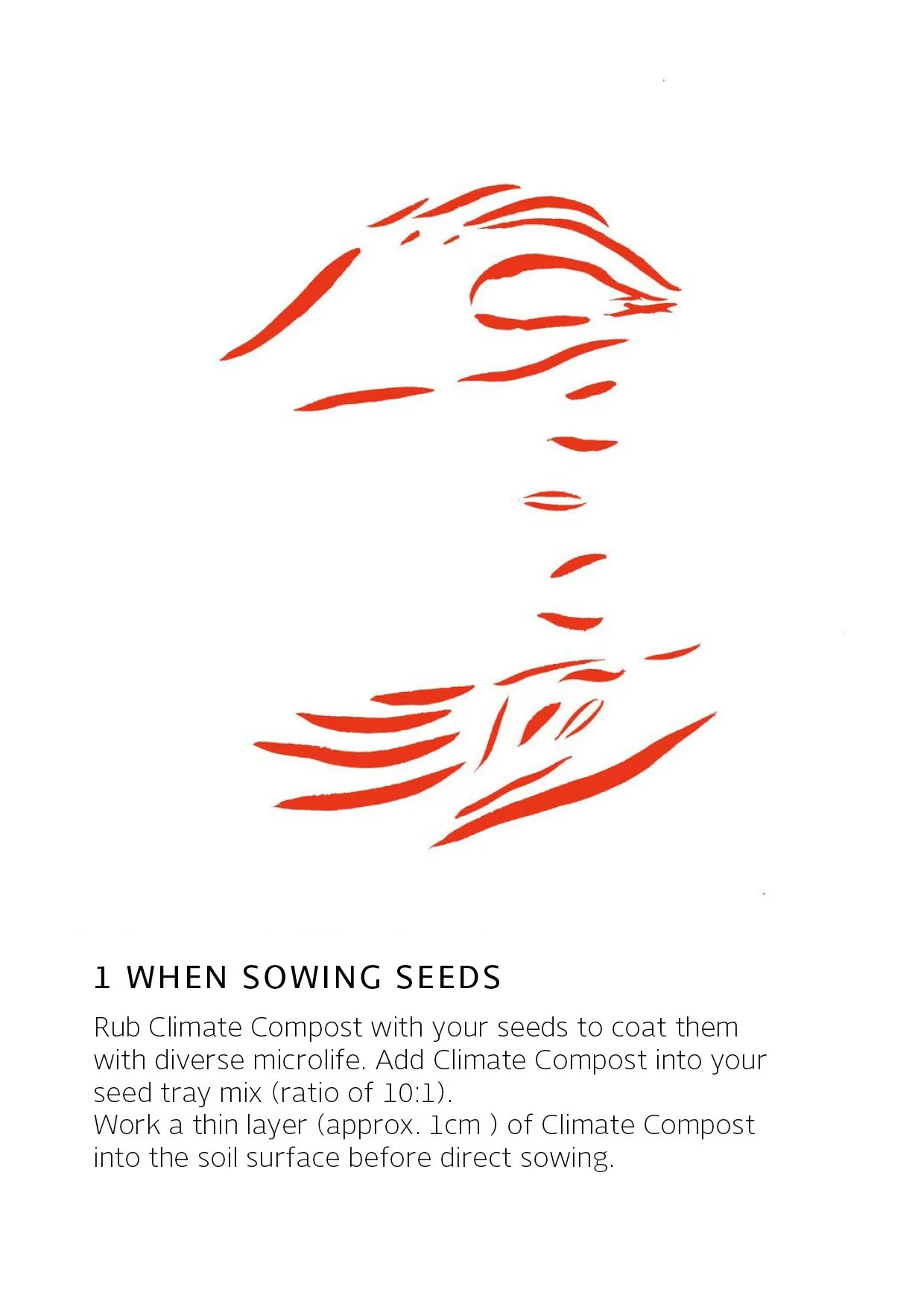 Climate Compost how to cards web.jpg