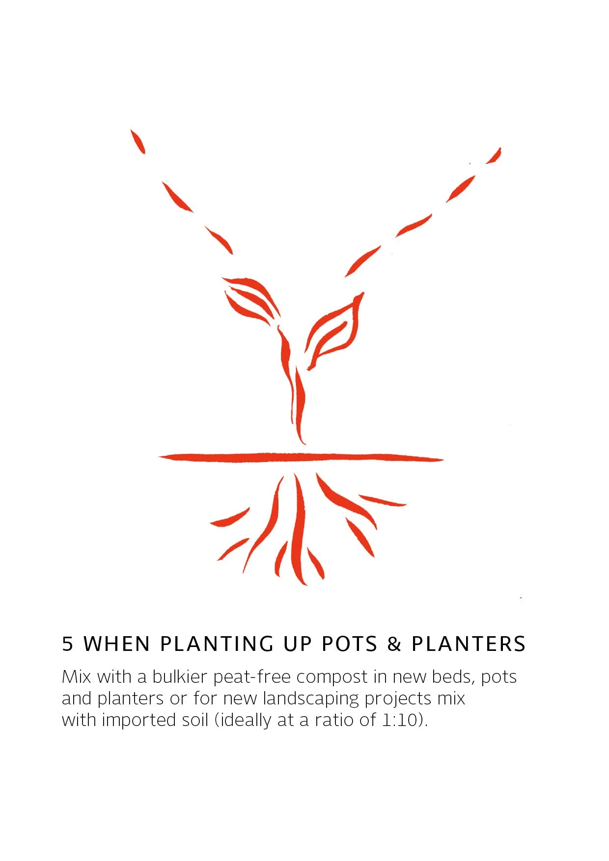 Climate Compost how to cards web5.jpg