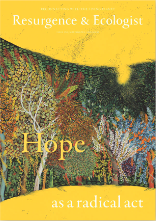 Screenshot 2026-03-03 at 11.03.56 AM.png