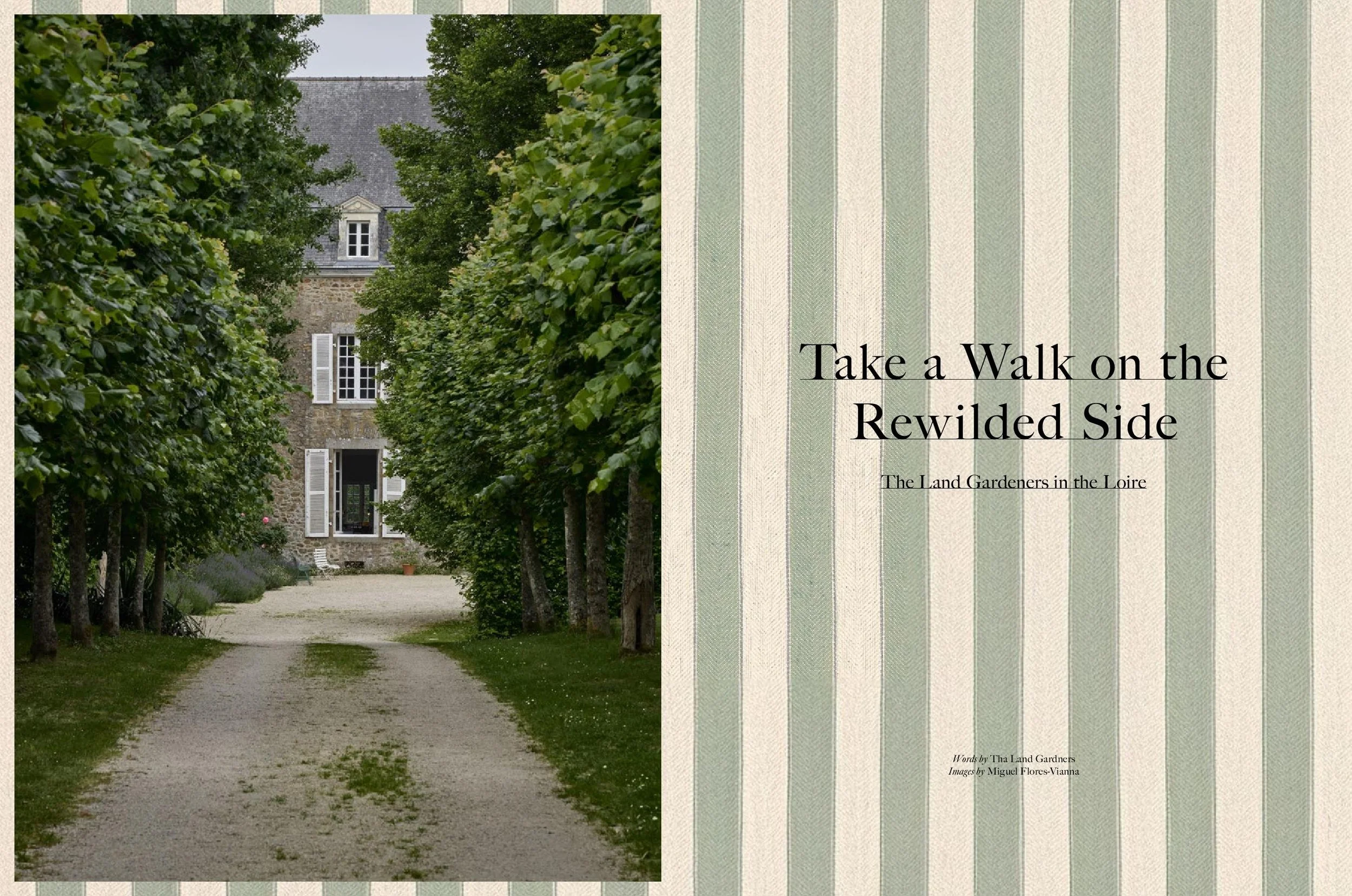 Issue 25-page-001.jpg