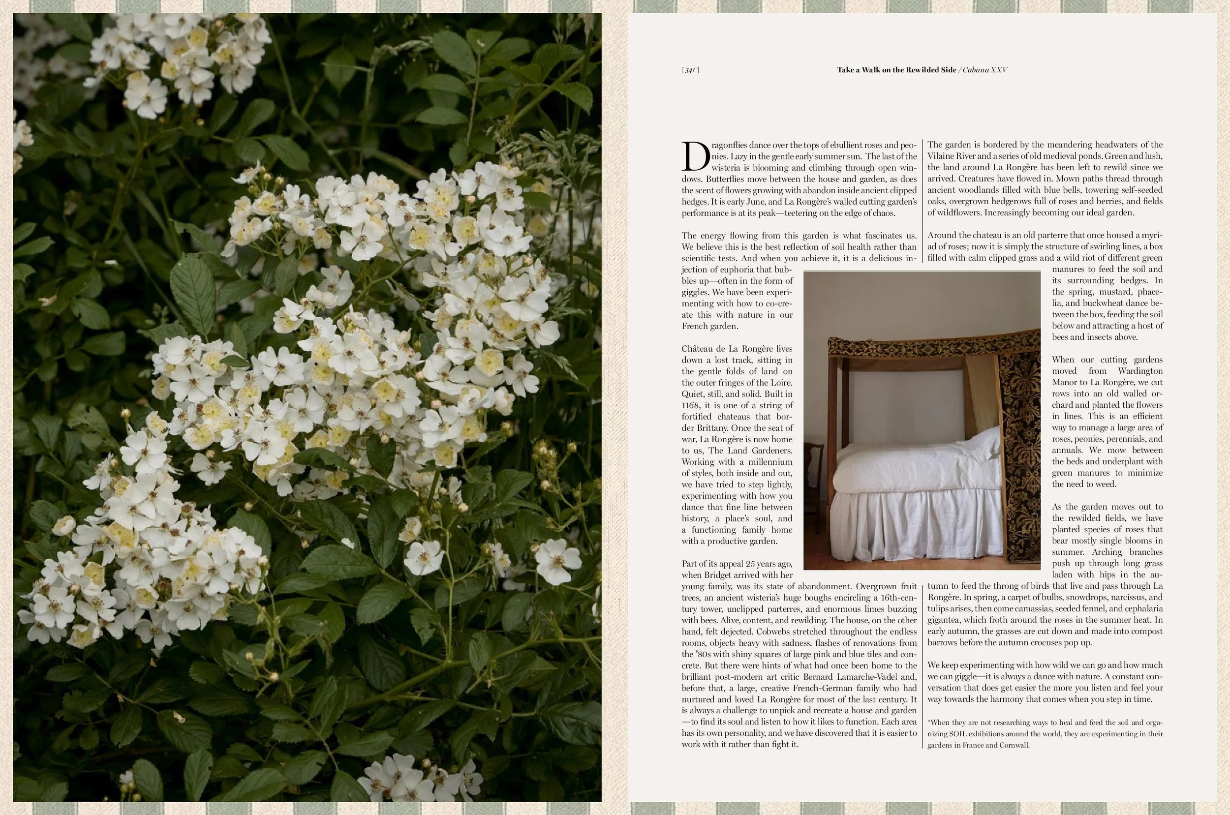 Issue 25-page-002.jpg