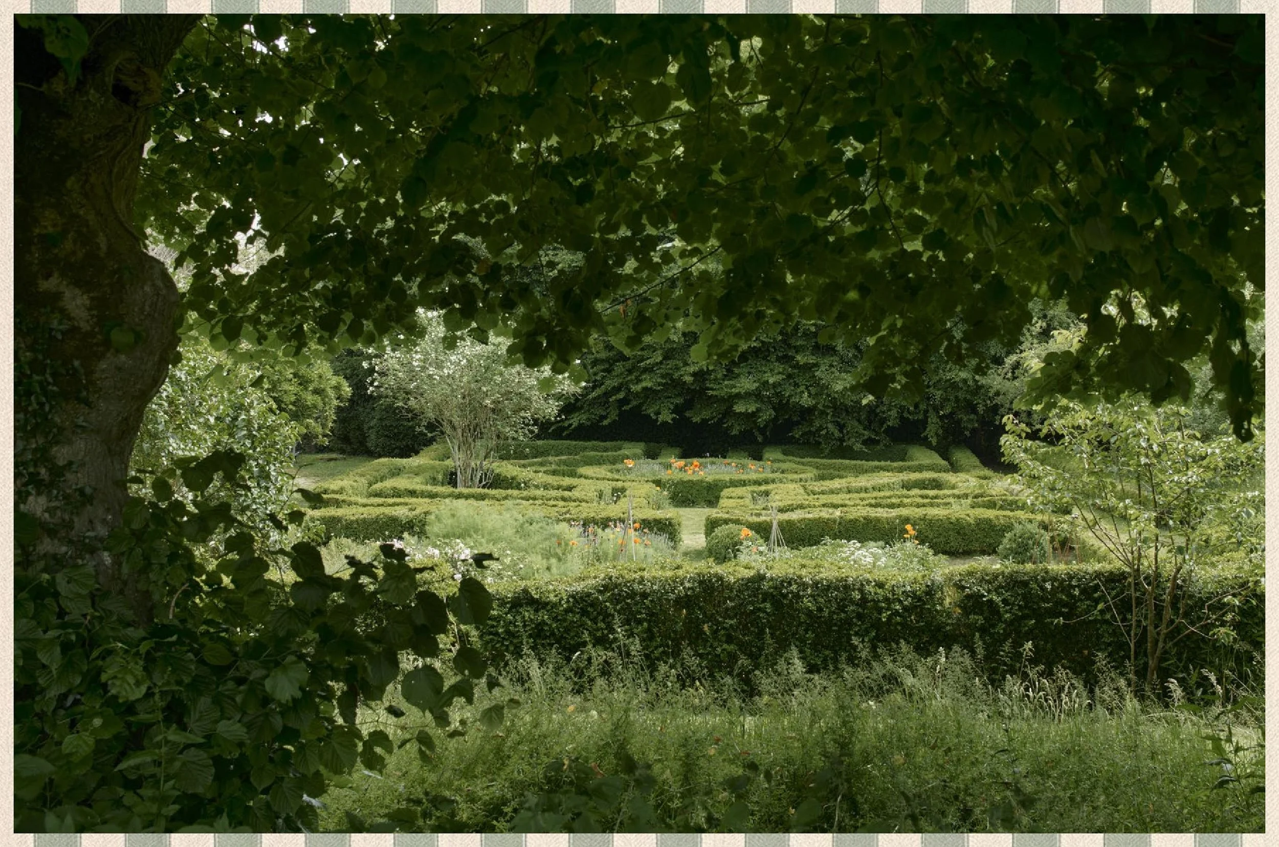 Issue 25-page-008.jpg