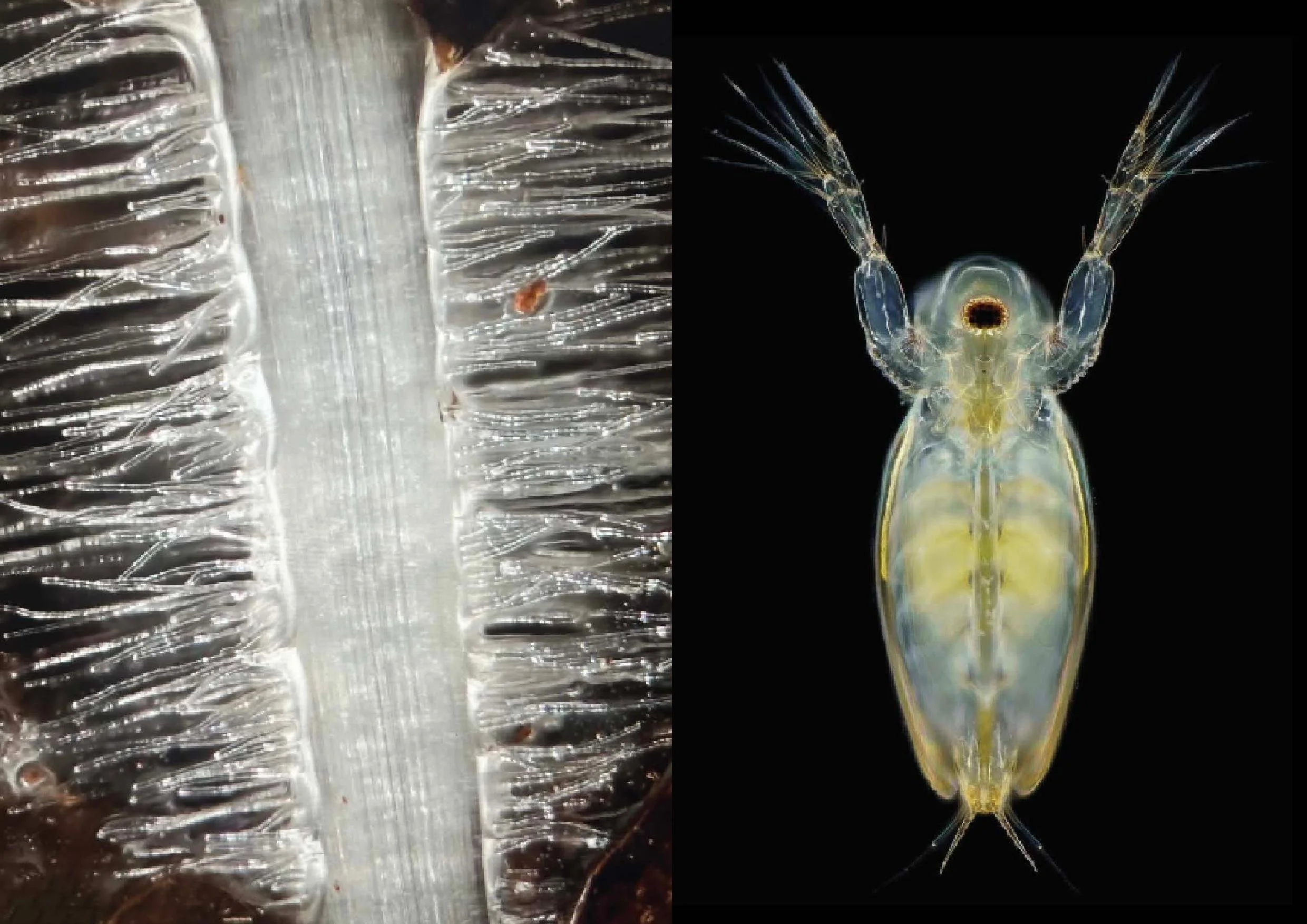 SOIL deck June 24 email-page-006.jpg