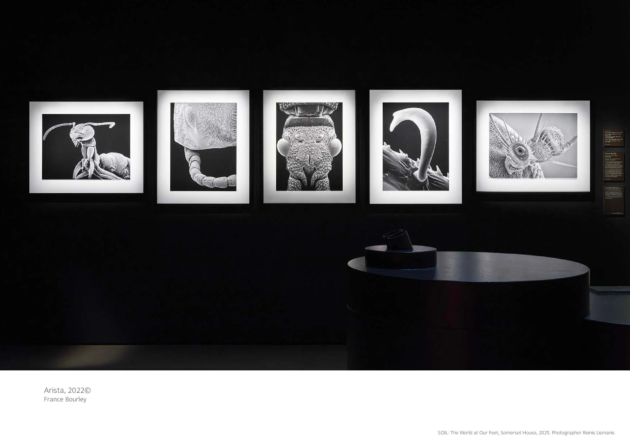 SOIL deck June 24 email-page-012.jpg