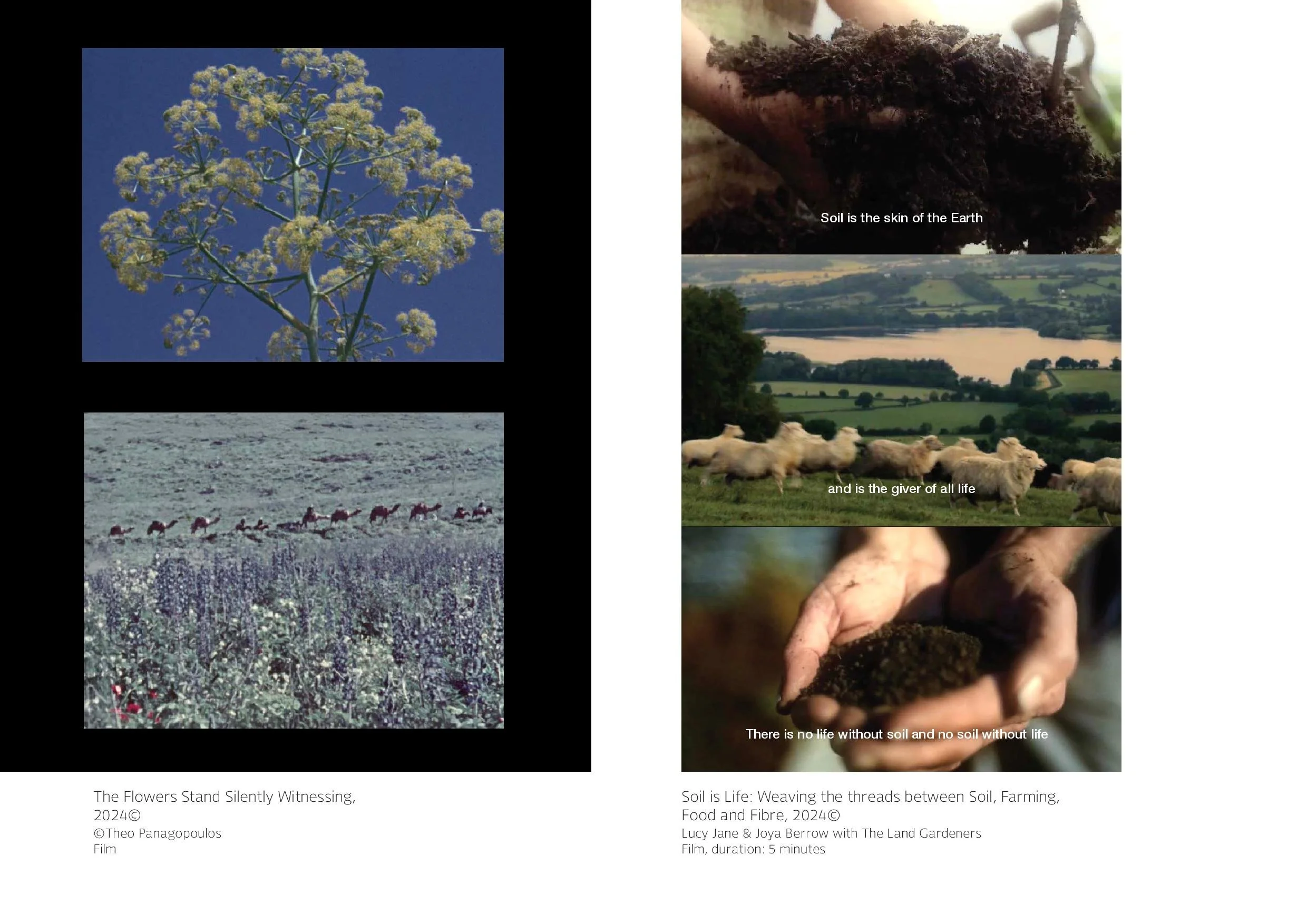 SOIL deck June 24 email-page-013.jpg