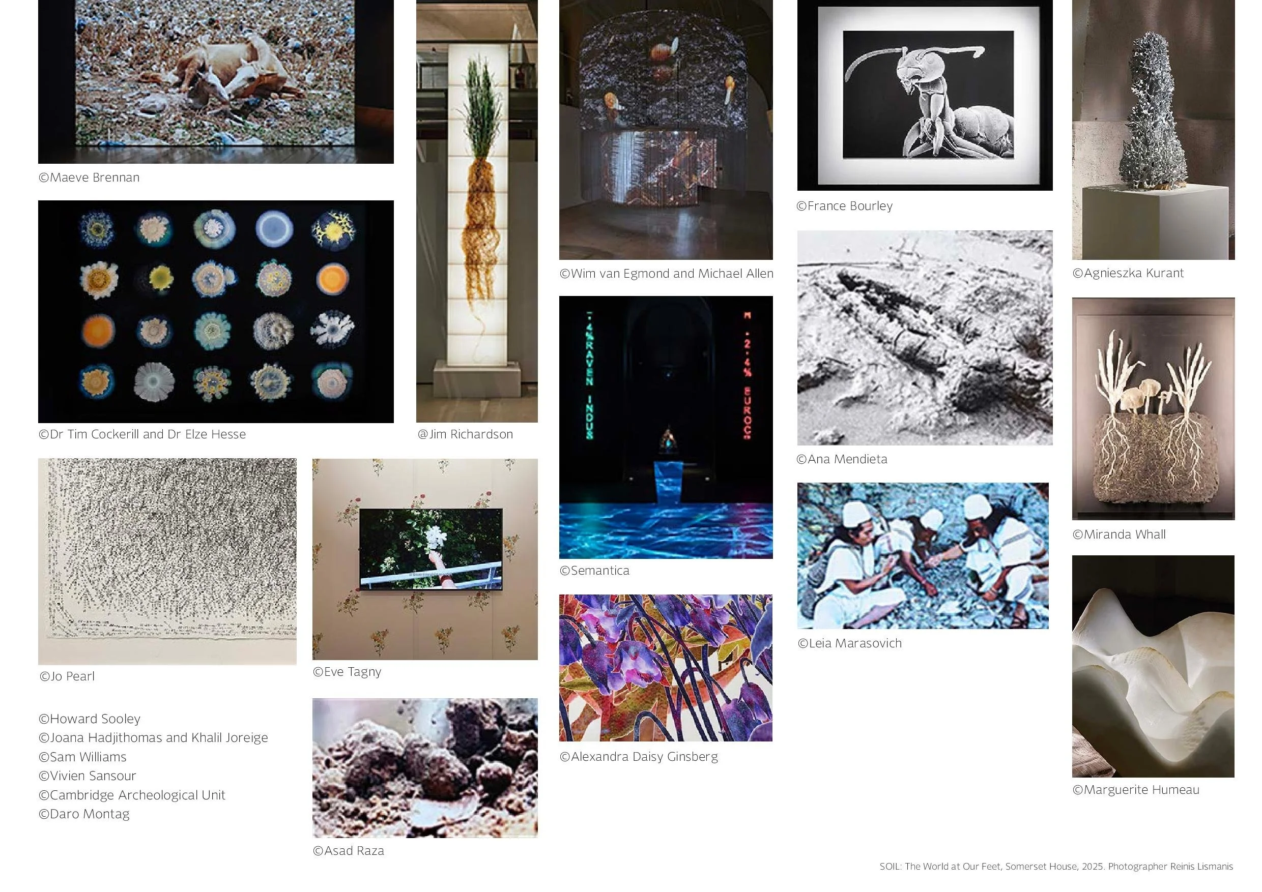 SOIL deck June 24 email-page-016.jpg