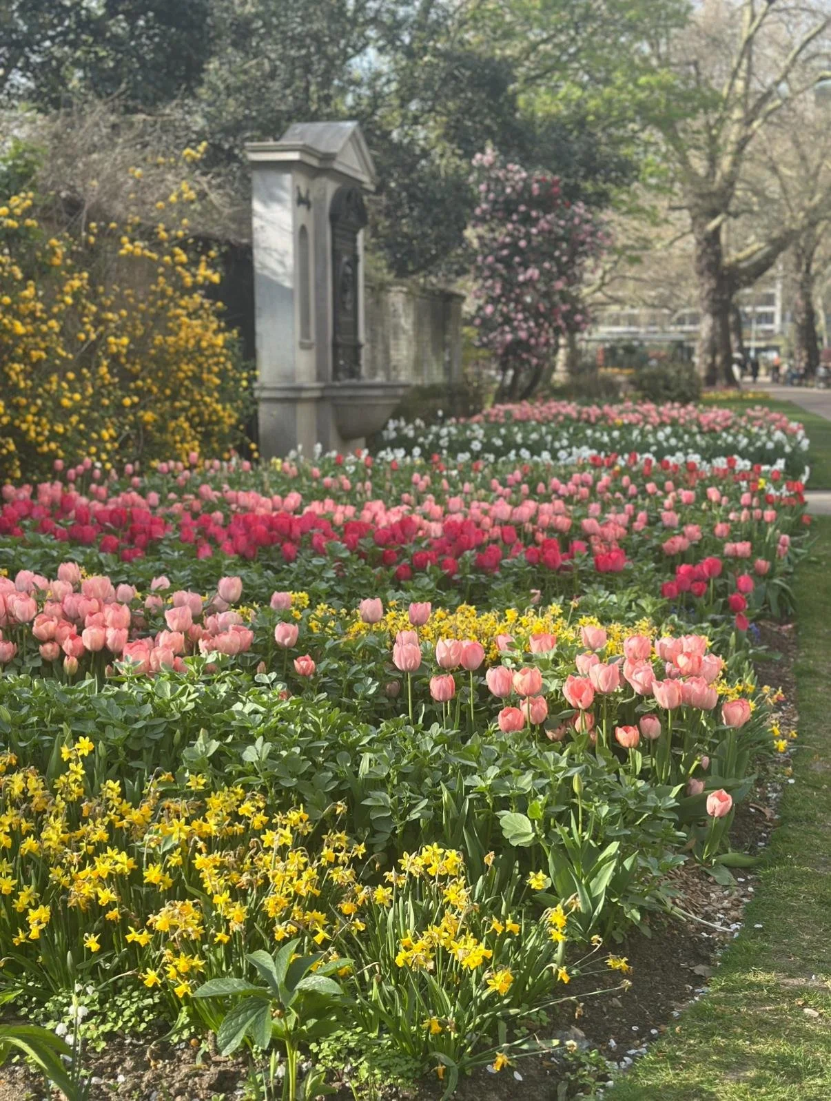 WhatsApp Image 2026-04-29 at 07.36.26.jpeg