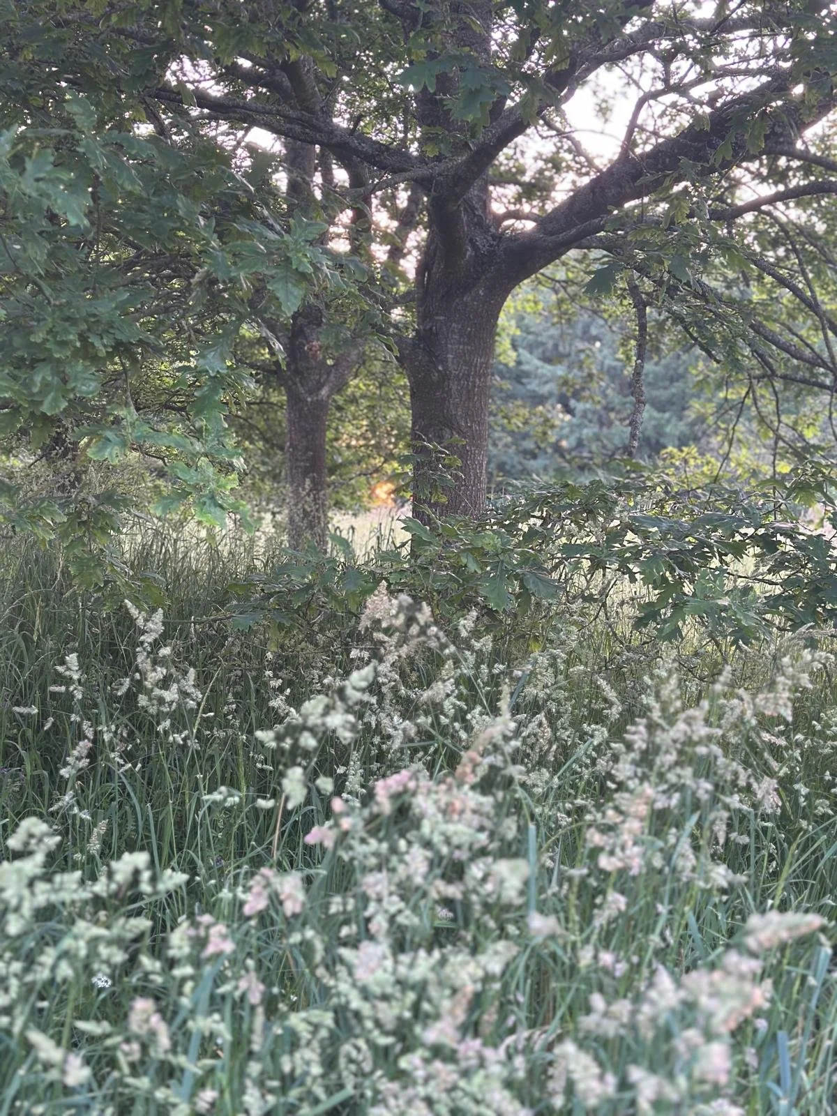 WhatsApp Image 2026-04-29 at 07.38.55.jpeg