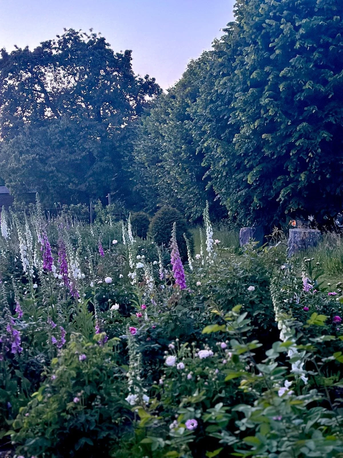 WhatsApp Image 2026-04-29 at 07.40.57.jpeg