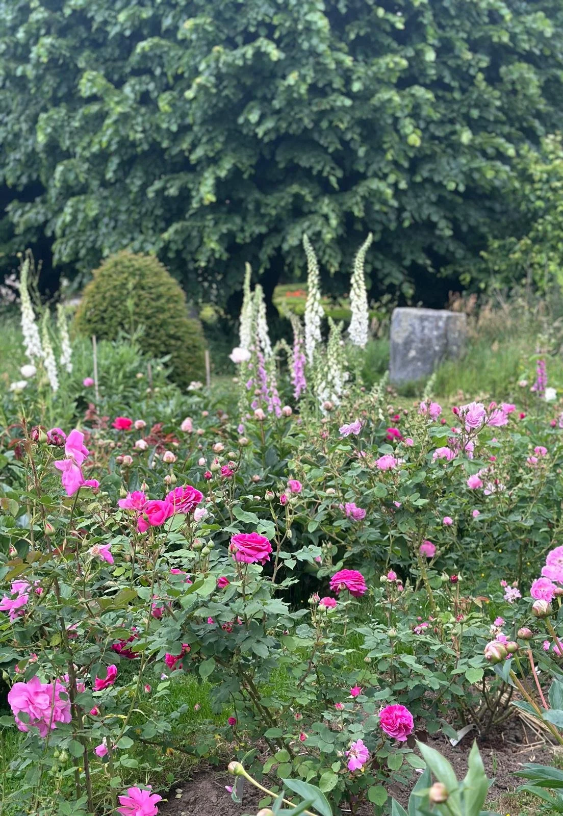 WhatsApp Image 2026-04-29 at 07.42.55.jpeg