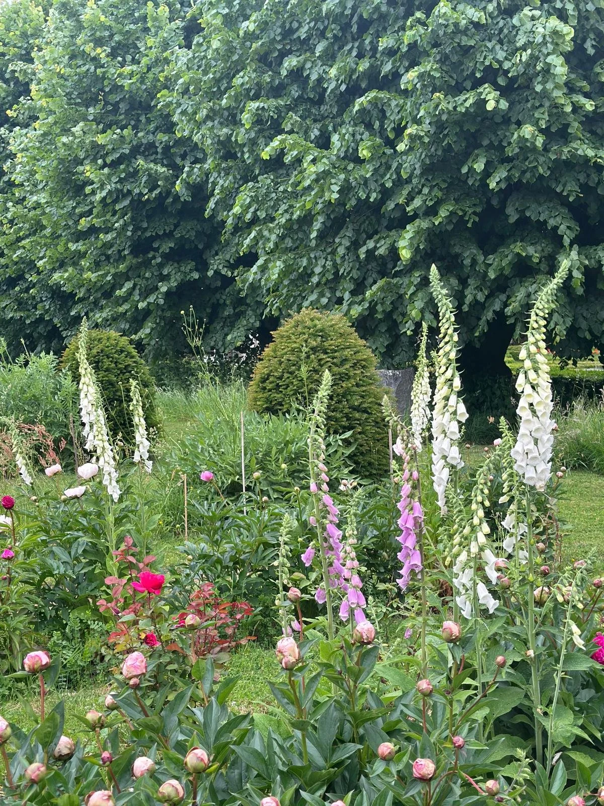 WhatsApp Image 2026-04-29 at 07.42.57.jpeg