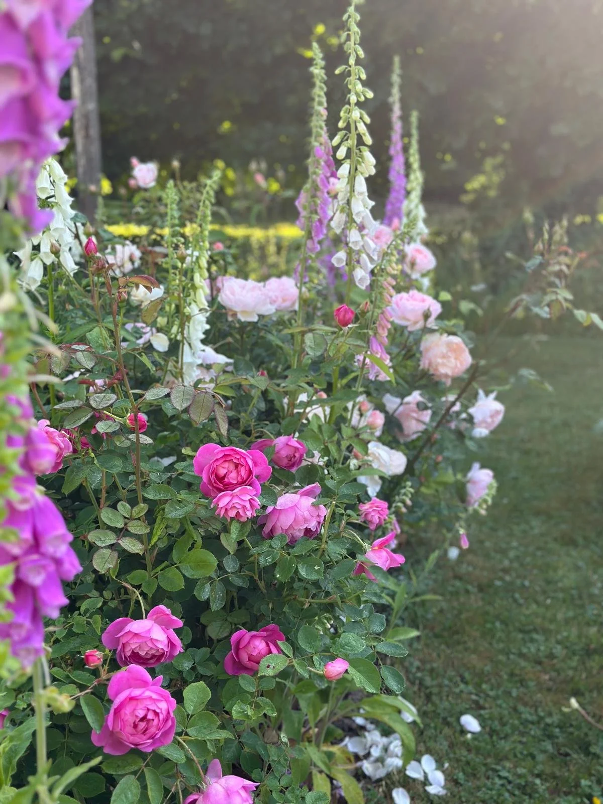 WhatsApp Image 2026-04-29 at 07.43.54.jpeg