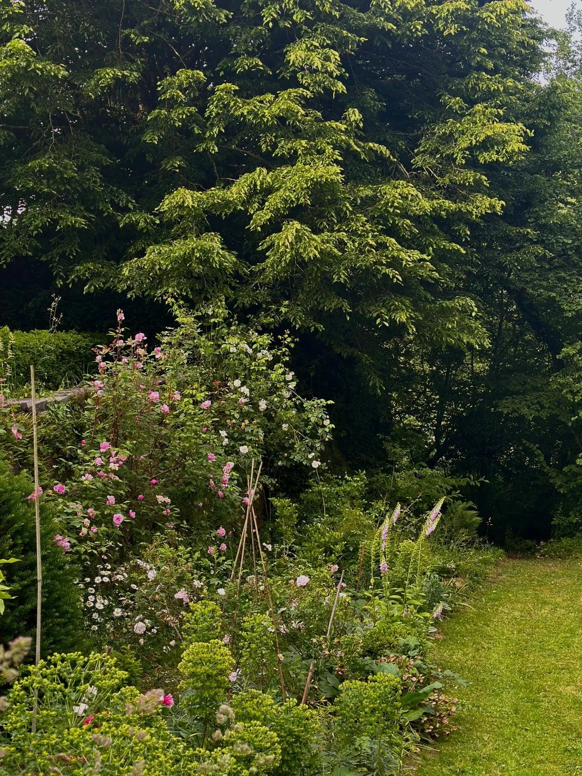 WhatsApp Image 2026-04-29 at 07.51.06.jpeg