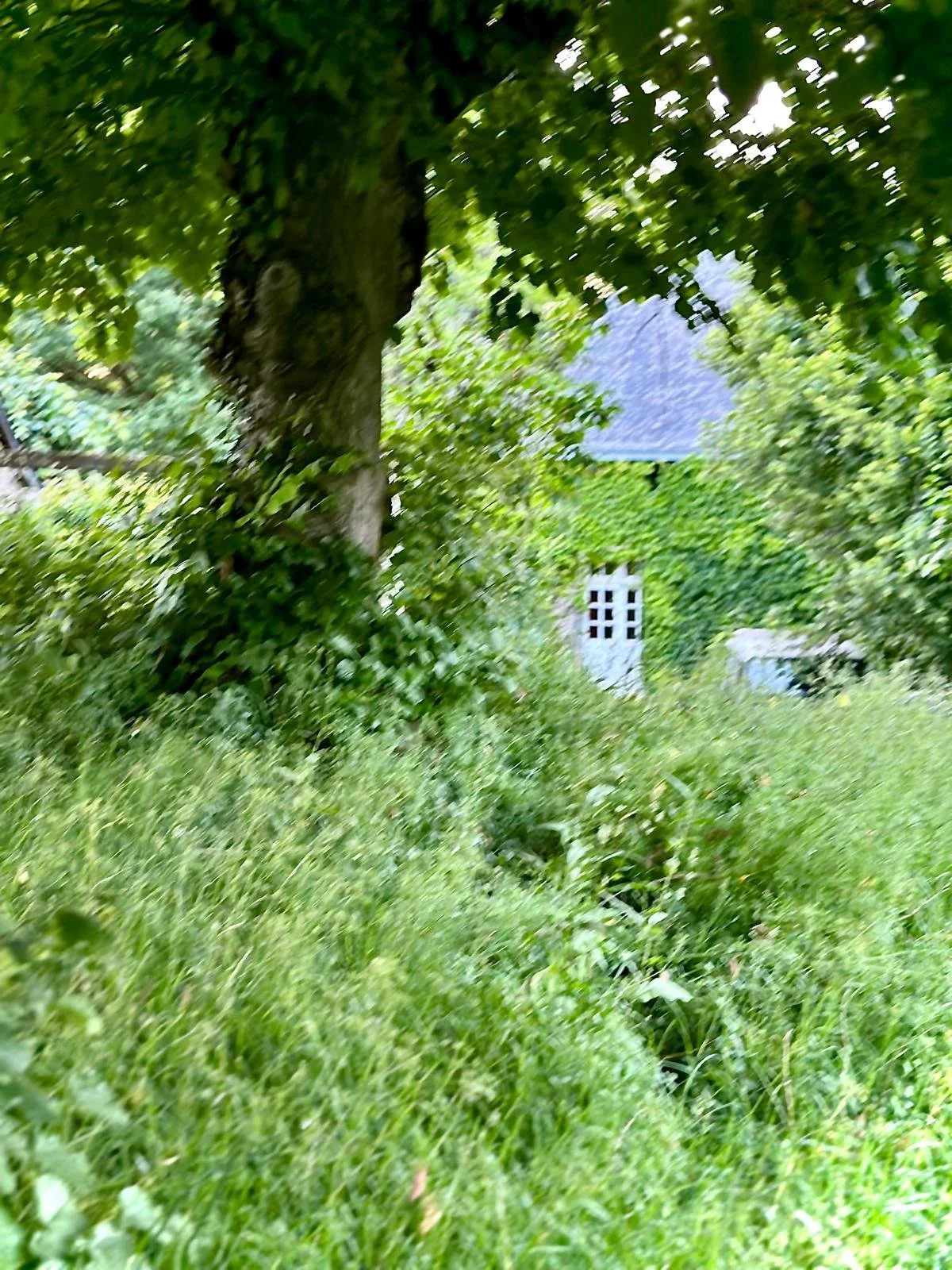 WhatsApp Image 2026-04-29 at 07.49.59.jpeg