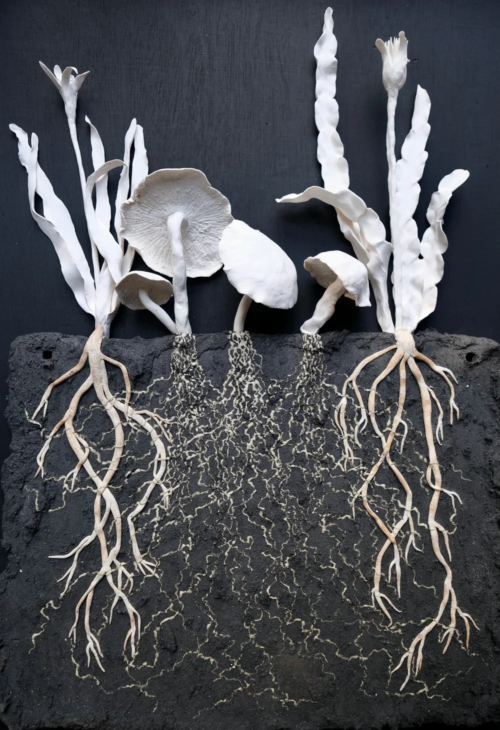 SOIL - SOMERSET HOUSE JAN to APRIL 2025