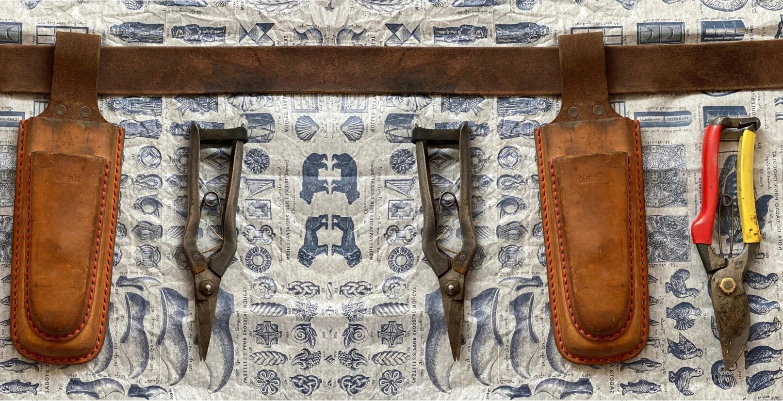 Double Holster