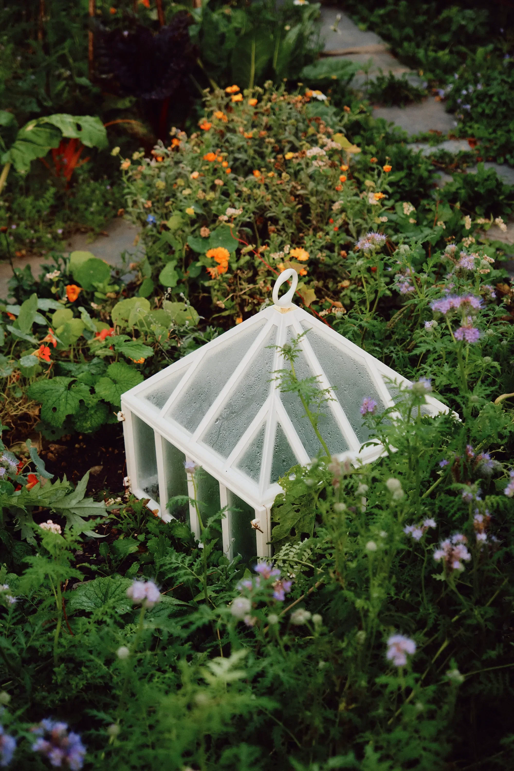 Claverton Square Cloche