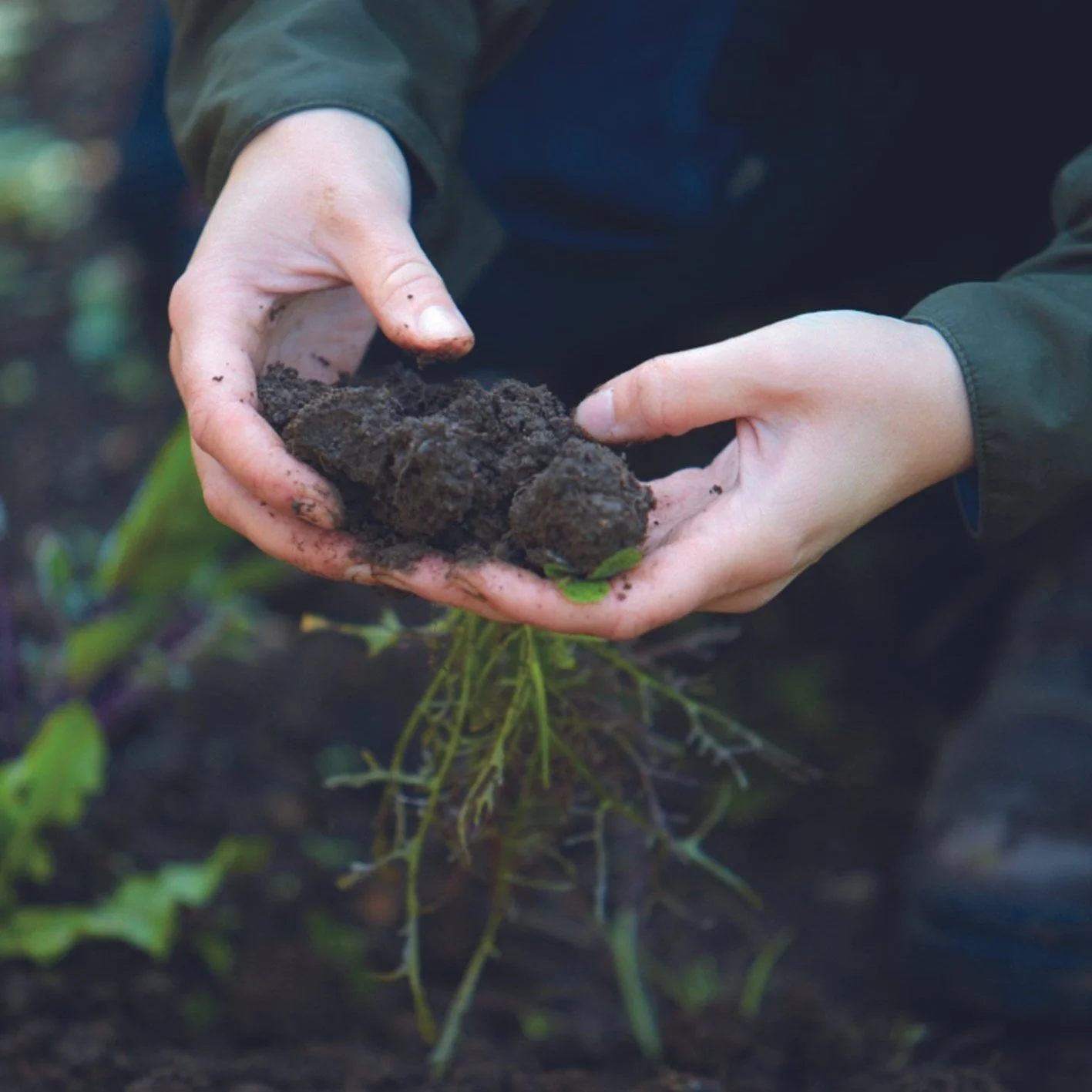 How to Test Your Soils