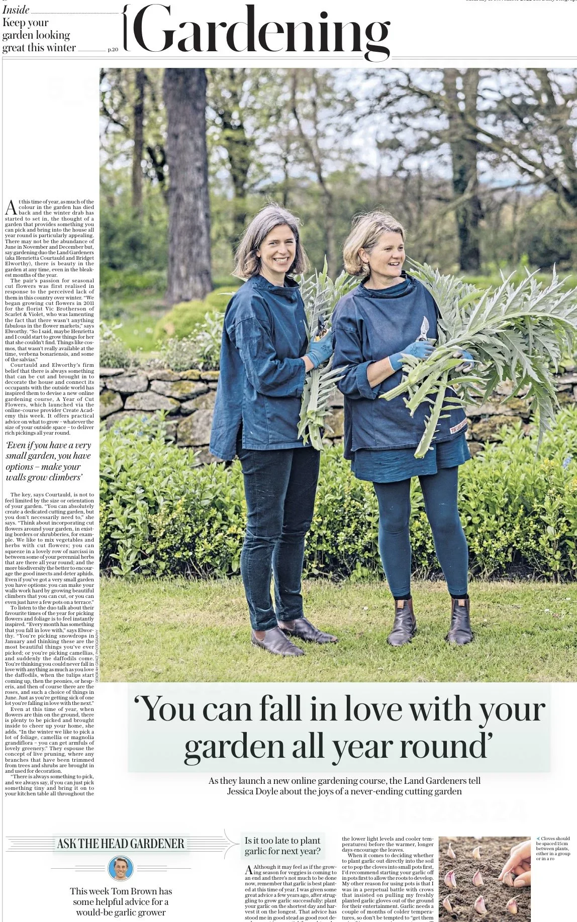 Telegraph+Nov+19+2022.jpeg.webp