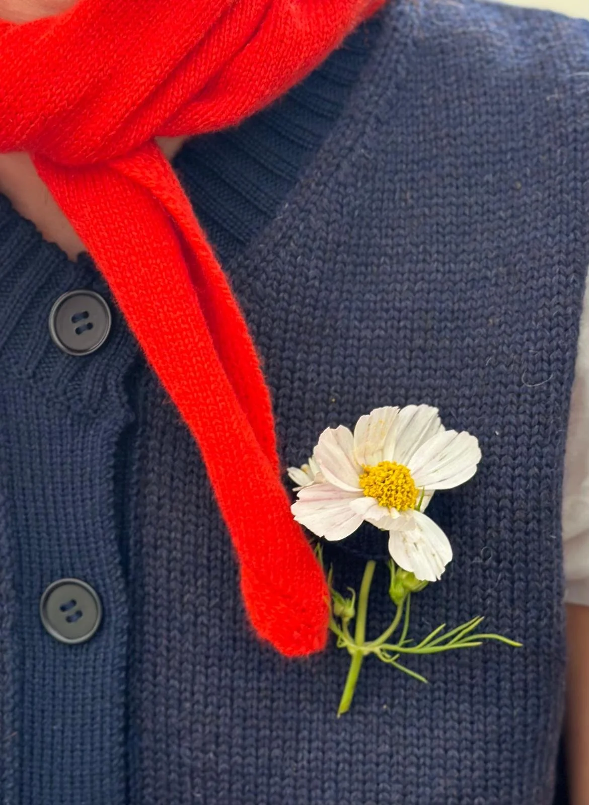 Vest soft British Wool