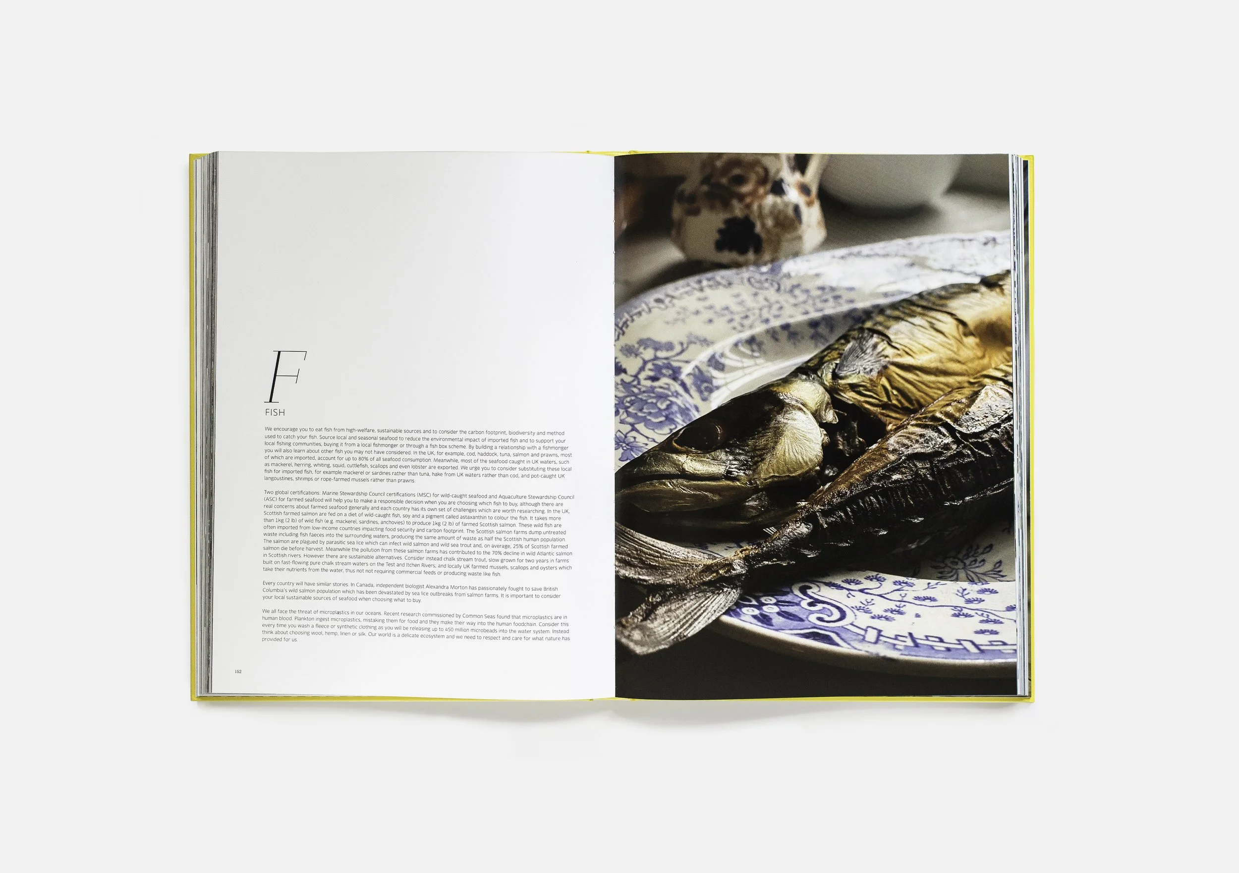 Soil to Table image Georgia Blackie-DPS-1.jpg