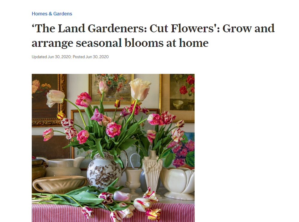 The+Oregonian+review.png.webp