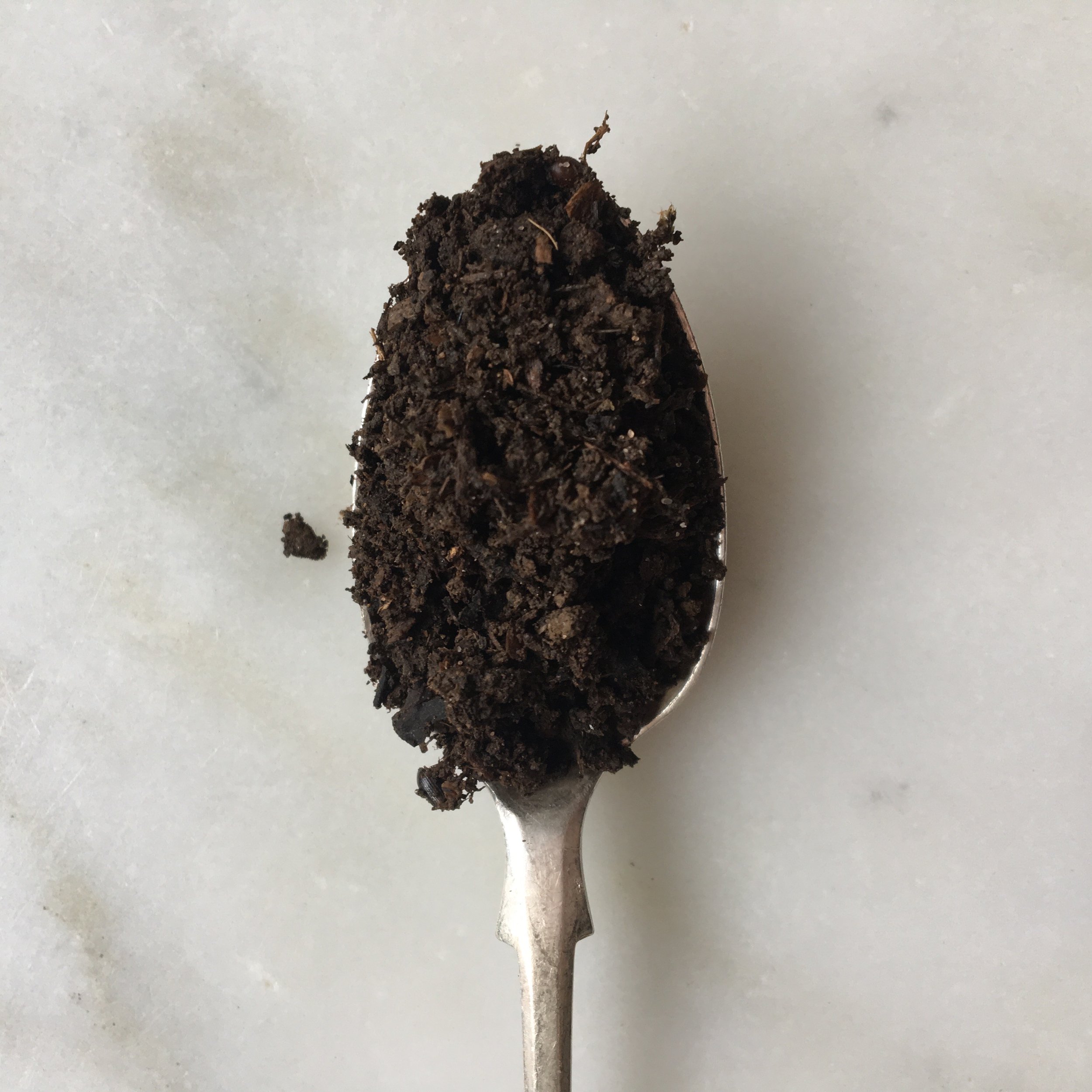 teaspoon of soil.jpg