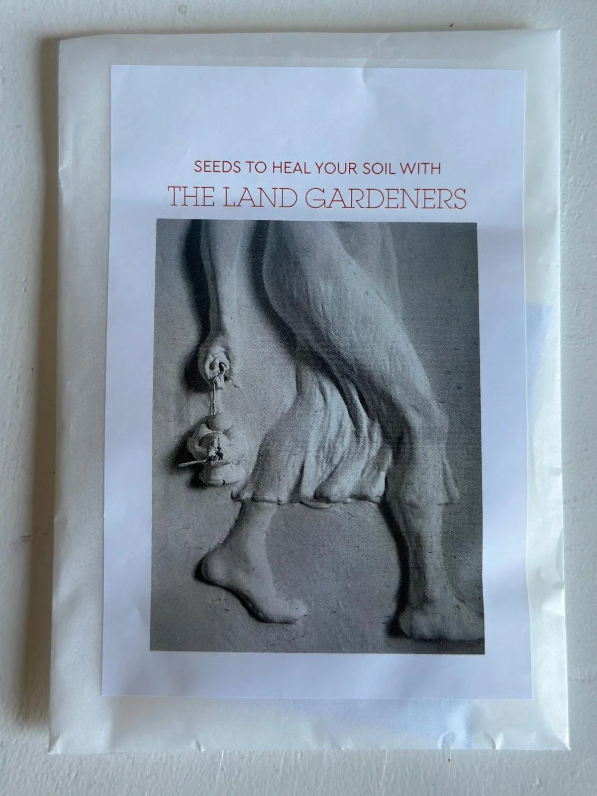 green manures seed packets organic Phacelia